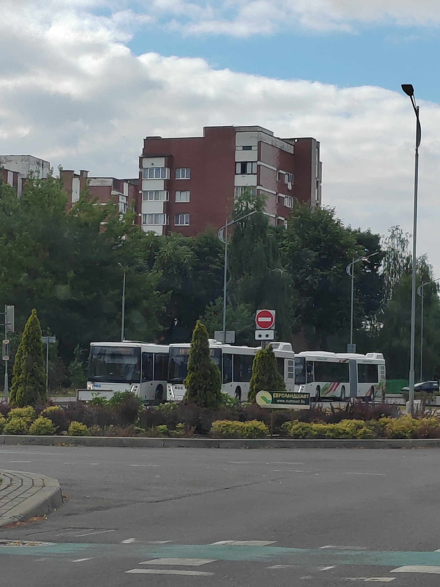 The image depicts a scene in Brest, Belarus, likely at a public transport stop or intersection. In the foreground, a grey asphalt road curves from the left, with pedestrian crossings marked by white and green lines. Behind the road, a landscaped area features decorative bushes in yellow and dark red, interspersed with two conical green evergreen trees.
Dominating the mid-ground are three white buses lined up. The bus on the left has the number "30" visible on its front. All three buses appear to be modern public transport vehicles. Behind the buses, a street light with a black fixture is visible on the right. A red and white circular "no entry" sign is mounted on a pole between the buses and a lamppost. Further back, a sign with green lettering and a logo is positioned in front of the bushes, with text that appears to include "ФЕРОЛАНДШАФТ" and a website address starting with "www.".
In the background, several brick buildings rise, characteristic of urban residential architecture. The largest building on the right is brick-red with white-framed windows and balconies. To its left, other buildings with varying architectural styles, including some with lighter facades and visible window grids, are present. Lush green trees form a dense canopy in front of and between the buildings. The sky above is a mix of blue and fluffy white clouds. The scene appears to be captured on a bright, possibly overcast, day.