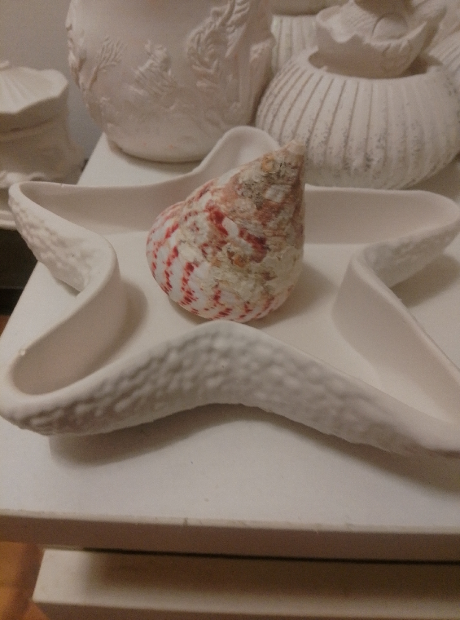 The image depicts a white ceramic starfish-shaped dish with a seashell resting in its center. The dish has textured edges and a smooth interior. The seashell is predominantly white with red and brown stripes. In the background, there are other white ceramic decorative items, including a large vase with embossed designs and a ribbed bowl. The scene appears to be set on a white surface, possibly a shelf or table. No people or specific location in Wedel, Germany are identifiable in this image.
