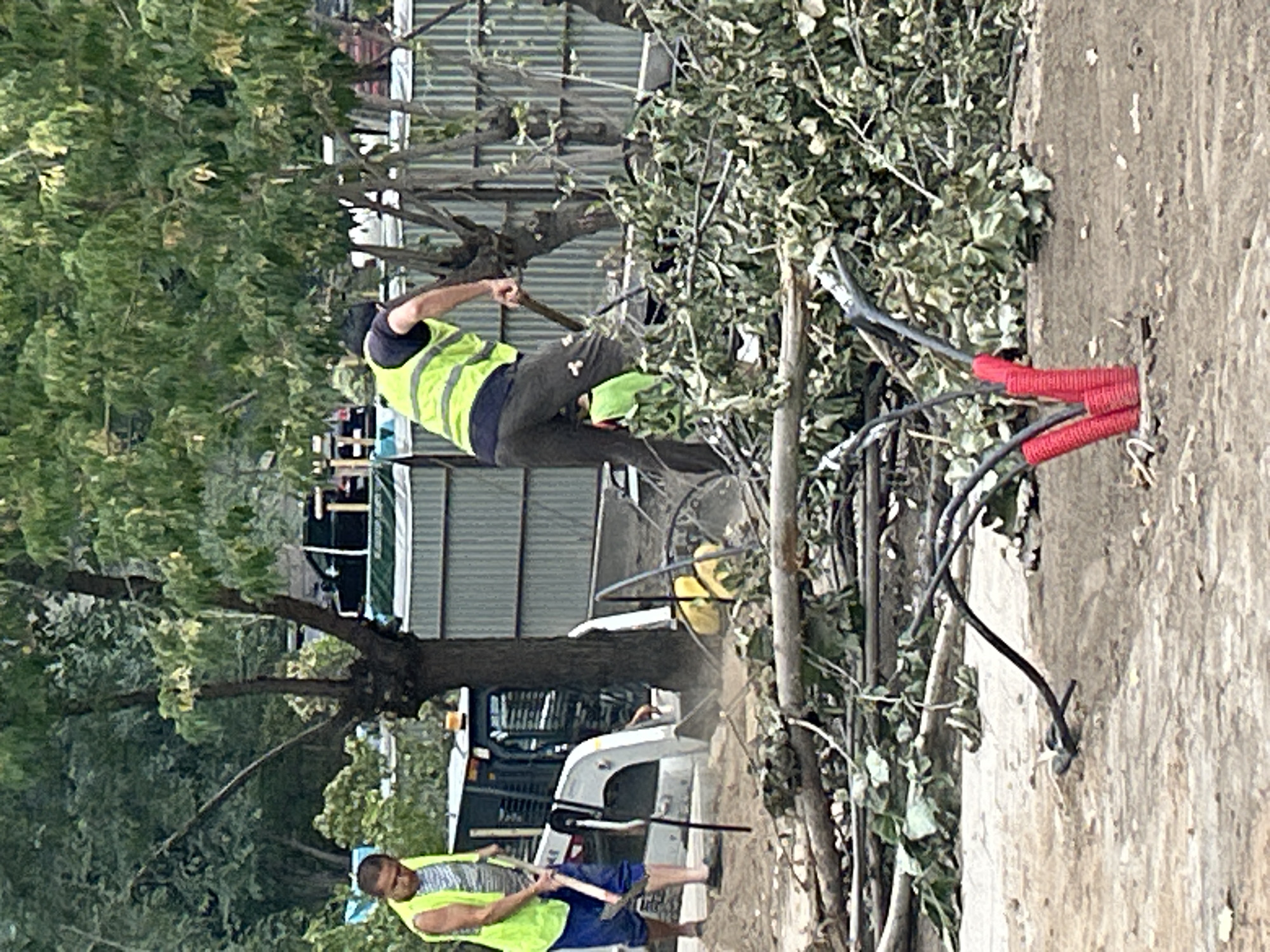 In Almaty, Kazakhstan, two men in high-visibility vests are working outdoors. One man, wearing a yellow vest, blue shorts, and a striped shirt, is using a shovel to move debris. He is standing near a white construction vehicle. The other man, in a yellow vest and dark pants, is using a tool to clear branches and leaves. In the foreground, red-sheathed electrical conduits and black cables are visible on the dusty ground. Behind the workers, a metal fence and trees create a backdrop. The scene suggests construction or land clearing activities.