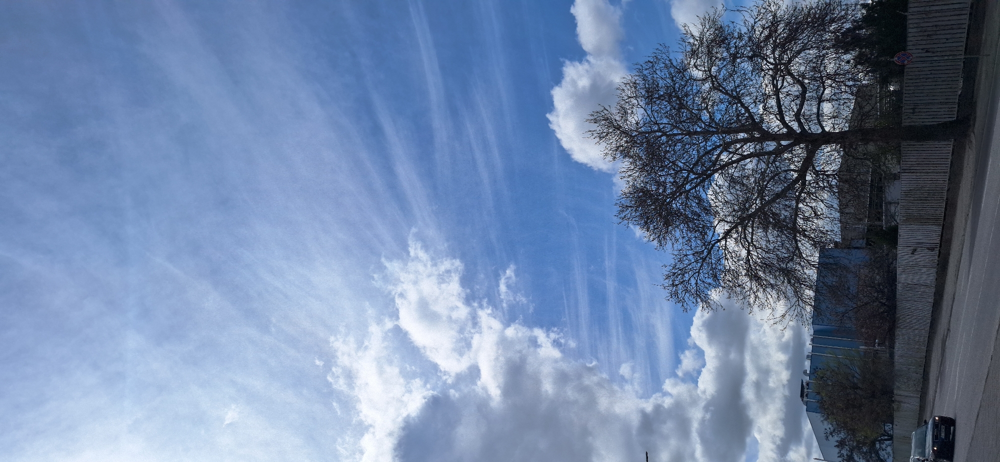 The image shows a sky in Blagoevgrad, Bulgaria, with cirrus clouds and cumulus clouds. A tree with bare branches is visible on the right side of the frame. A building and a road are also visible. A black car is parked on the road.