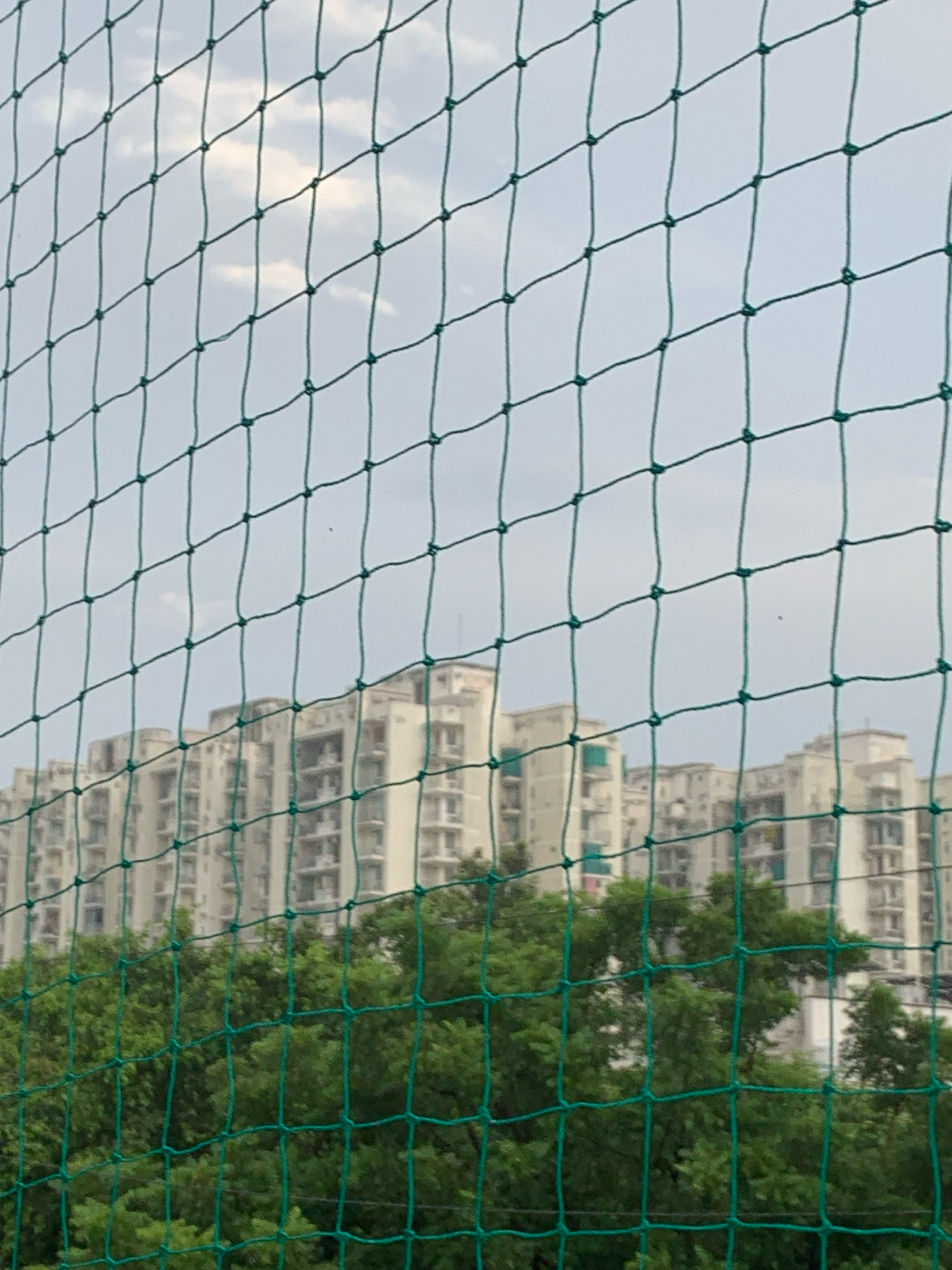The image, taken in Dharuhera, India, depicts a view through a green net. In the foreground, the net is prominently displayed, with its diamond-shaped openings. Beyond the net, a lush canopy of green trees fills the lower half of the frame. Behind the trees, a series of tall, multi-story apartment buildings are visible. These buildings are light-colored, likely white or beige, and appear to be residential complexes with numerous balconies and windows. The sky above is overcast with diffused light, suggesting a cloudy or hazy day. The overall scene captures an urban residential area surrounded by greenery, viewed through an obstruction.