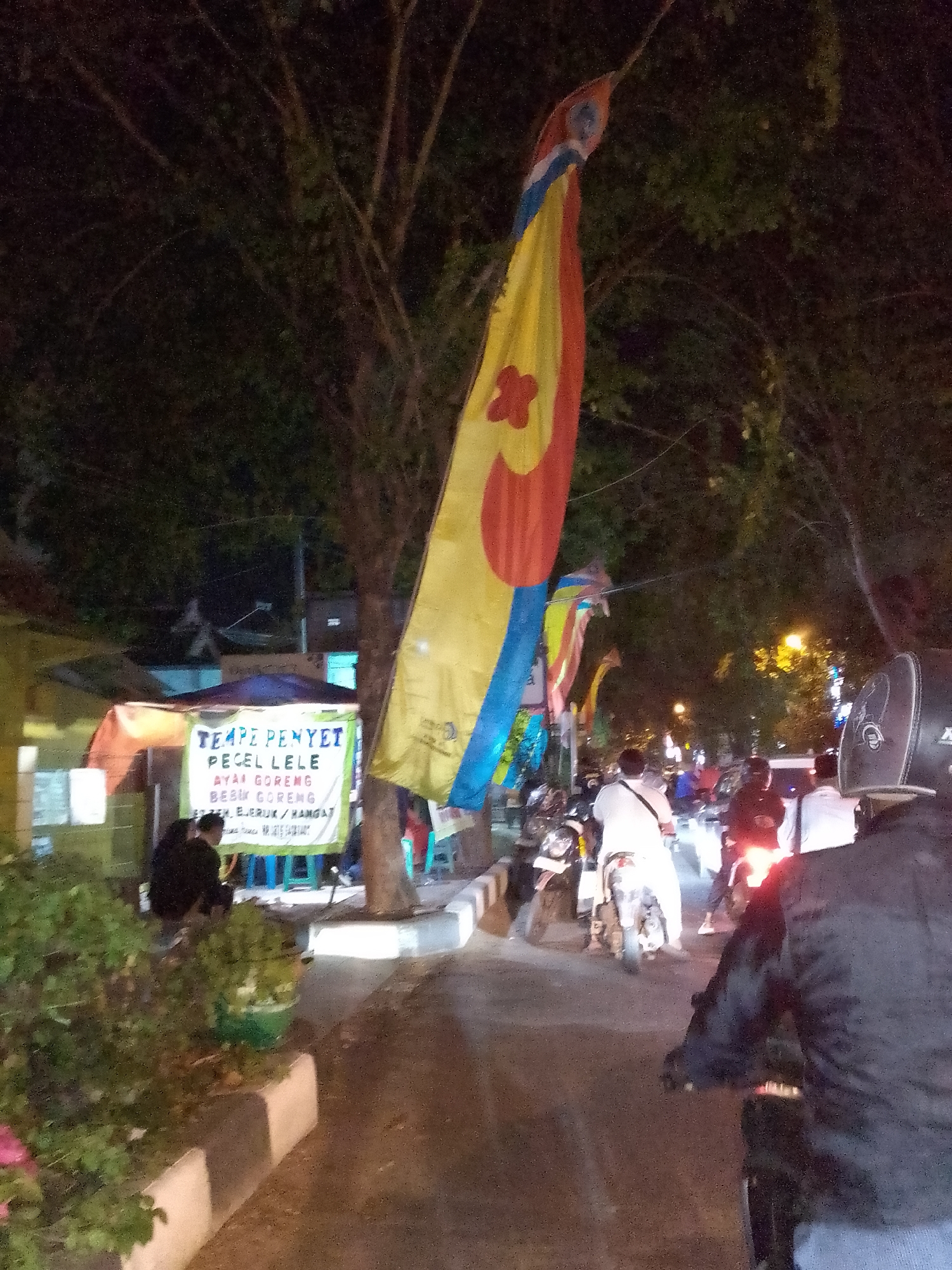 The image depicts a nighttime scene on a street in Lamongan, Indonesia, likely a commercial or dining area. In the foreground, a person on a motorcycle is partially visible from behind, wearing a dark jacket and helmet. Several other motorcycles and their riders are present on the street, some stationary, suggesting a gathering or waiting.
To the left, a stall or food cart is set up, displaying a banner with text that appears to be in Indonesian. The banner reads "TEMPE PENYET", "PECEL LELE", "AYAM GORENG", and "BEBEK GORENG", indicating a menu of fried chicken, fried duck, and various types of pecel (a vegetable dish with peanut sauce) and tempe (fermented soybean cake). One person is seated at the stall, seemingly interacting with the vendor.
Dominating the upper portion of the image is a large, vibrantly colored banner or flag, possibly a promotional item for a business or event. It features yellow, red, and blue sections, with a floral or star-like motif in red on the yellow background. Several other smaller flags or banners are also visible behind the main one.
The environment appears to be a road or street with a paved surface, bordered by a curb and a sidewalk. Trees with dense foliage are visible along the street, casting shadows and contributing to the nighttime ambiance, with artificial lighting from streetlights and nearby businesses casting a warm glow. The overall impression is of a bustling night market or roadside eatery scene in Lamongan.