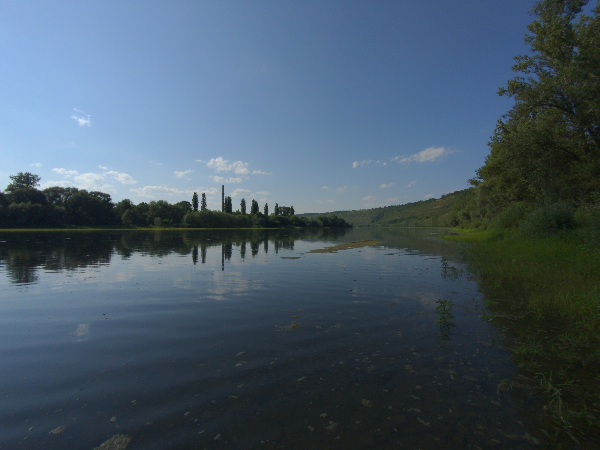 This is a landscape photograph taken from a body of water, likely a river, looking towards a tree-lined shore. The sky is a clear, bright blue with a few scattered white clouds, suggesting a sunny day. The water is dark and reflects the sky and the trees along the bank. In the distance, a row of tall, slender trees stands out against the horizon, with what appears to be industrial chimneys behind them, hinting at a nearby industrial area. The shoreline is covered with lush green vegetation, with a rolling hill in the background. The time of day appears to be late morning or early afternoon, given the bright sunlight and the long shadows cast by the trees. The overall mood of the image is serene and tranquil, emphasizing the natural beauty of the landscape. There is no visible text in the image.