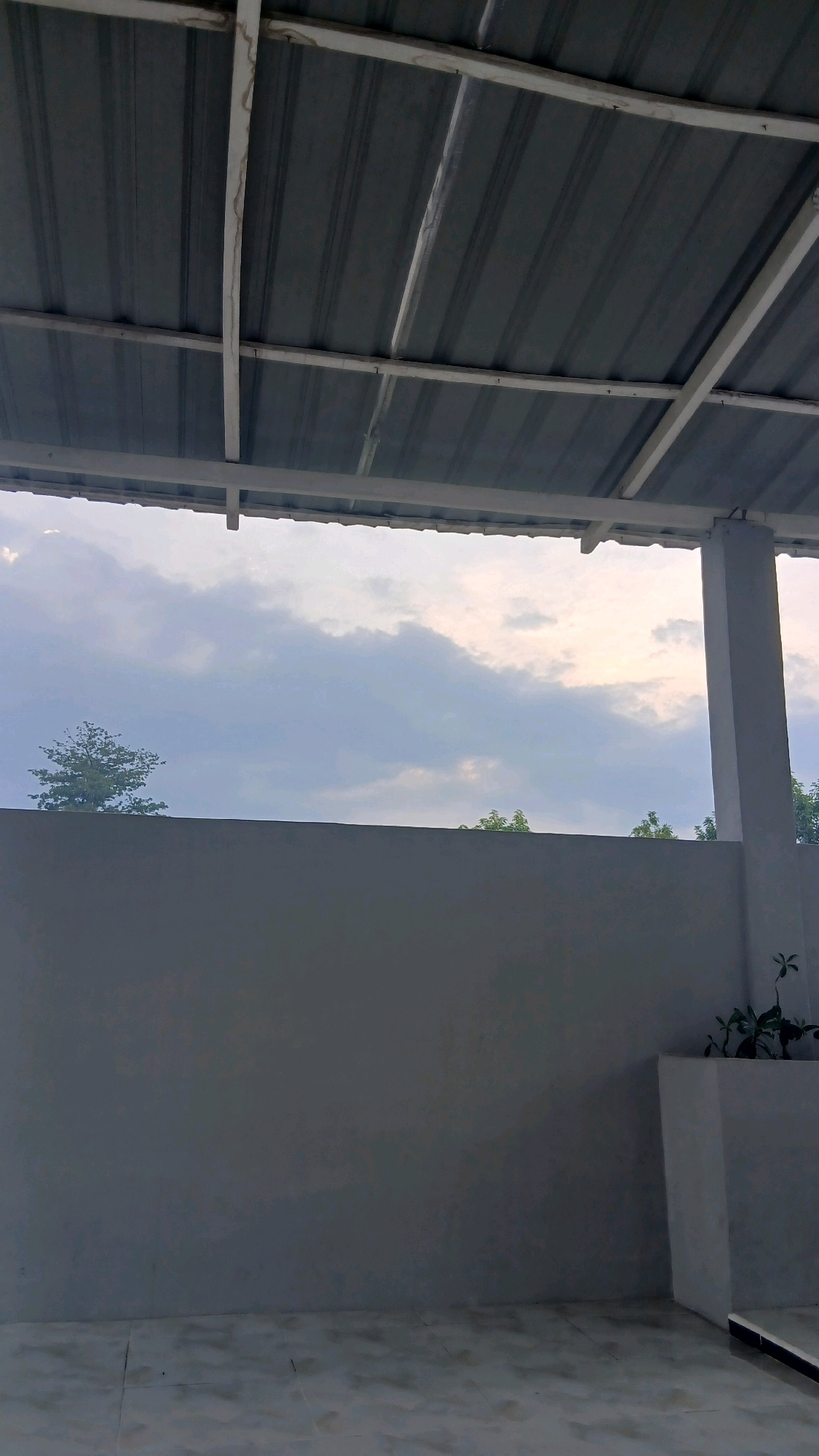 The image depicts a view from an outdoor covered area, possibly a patio or carport, looking towards the sky. The roof of the structure is visible in the foreground, with corrugated metal sheeting supported by a white wooden frame. Beyond the roofline, a cloudy sky dominates the upper portion of the image. The clouds appear diffused, with hints of lighter areas suggesting sunlight filtering through.
Below the sky, a plain grey wall stretches across the mid-section of the image, obscuring the ground level. A single, moderately sized tree with green foliage stands to the left, peeking over the wall. To the right, part of a white pillar is visible, part of the supporting structure for the roof. At the bottom right, a small plant is growing in a white planter box. The ground visible at the very bottom of the image is tiled. The overall scene suggests a calm, possibly overcast day. The location is identified as Hamparan Perak, Indonesia.