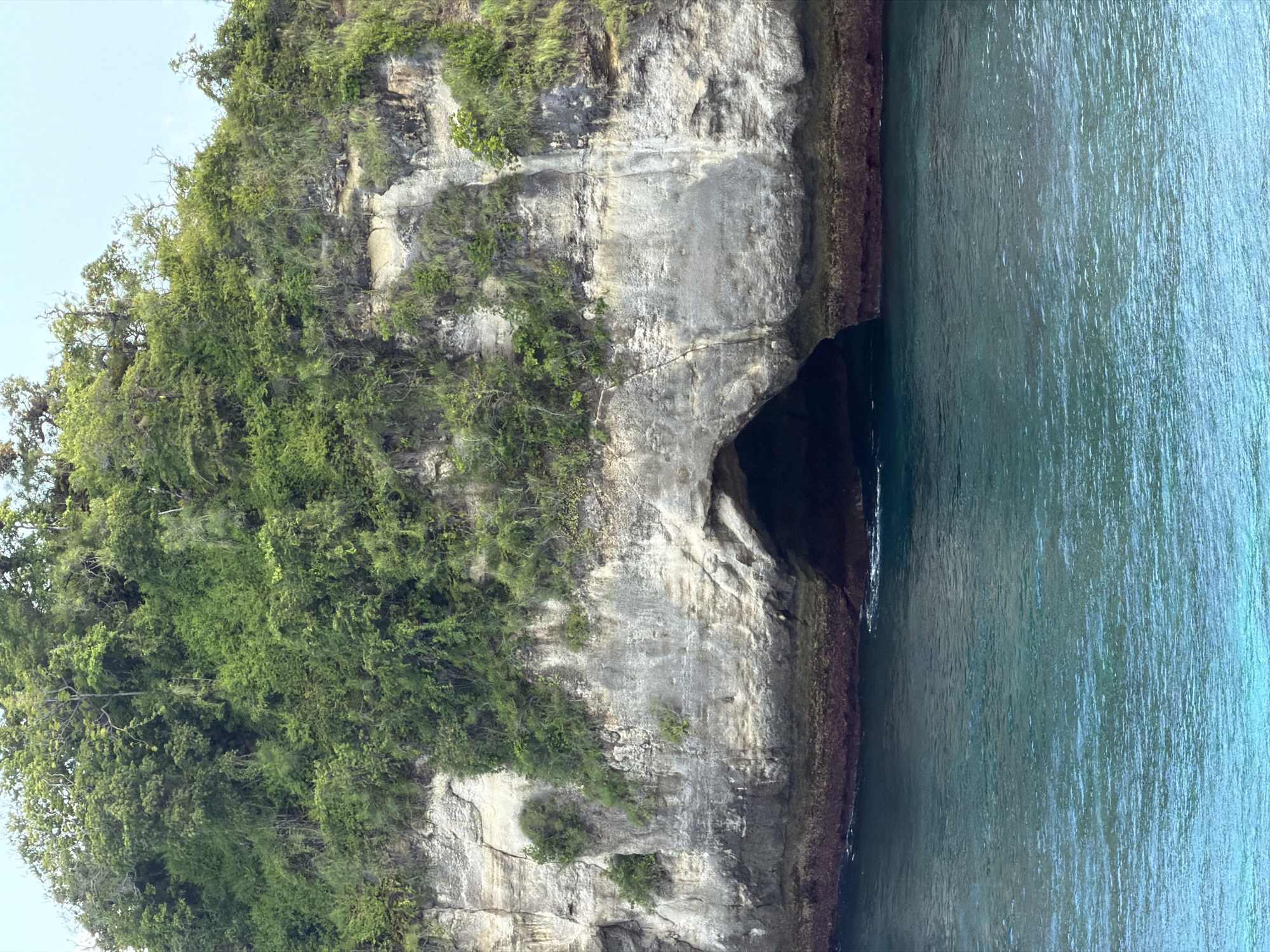 The image depicts a coastal rock formation, likely a cliff face, located in Pejukutan, Indonesia. The rock is predominantly gray with varying shades and textures, suggesting different mineral compositions and erosion patterns. Vegetation, mainly lush green foliage, covers the upper portion of the rock formation and clings to crevices along its surface. A dark, cavernous opening is visible at the base of the rock face, where it meets the water. The water is a blend of turquoise and deep blue, indicating varying depths and reflecting the sky. The image appears to be taken from a boat or a similar vantage point on the water, and the composition is vertically oriented. There are no visible people or animals in the scene.
