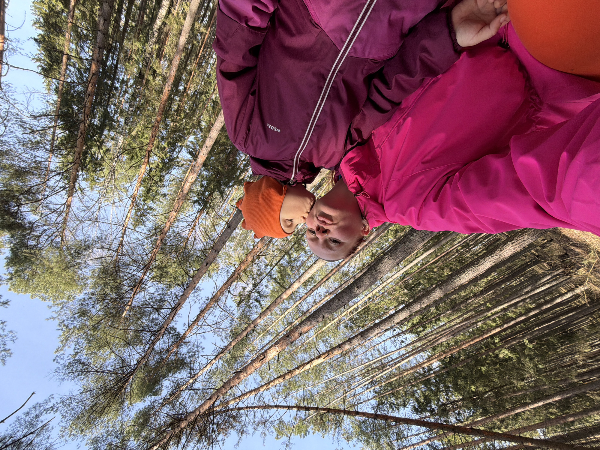 This image, captured in a forest in Chaikovsky, Russia, shows two individuals in a moment of affection, viewed from a low, upward-looking perspective. The original image is rotated 90 degrees counter-clockwise.
In the foreground, two people, likely children or young adults, are visible from the chest up, positioned against the backdrop of a forest. The person on the left wears an orange knitted hat and a dark purple winter jacket with a prominent white zipper. The brand name "WEDZE" is visible in white text on their jacket. This individual is leaning in to give a kiss to the second person, whose face is partially visible on the right side of the frame, receiving the kiss. The second person is dressed in a vibrant bright pink winter jacket. Their interaction suggests a warm and tender moment between them.
The background is a dense pine forest, with numerous tall, slender tree trunks stretching upwards towards a clear, bright blue sky. The green needles of the pine trees are visible, indicating a natural, outdoor setting. The bright sky and clear visibility suggest a sunny day, likely with cool temperatures given the subjects' winter attire. The low camera angle emphasizes the height of the trees, creating a sense of being enveloped by nature.