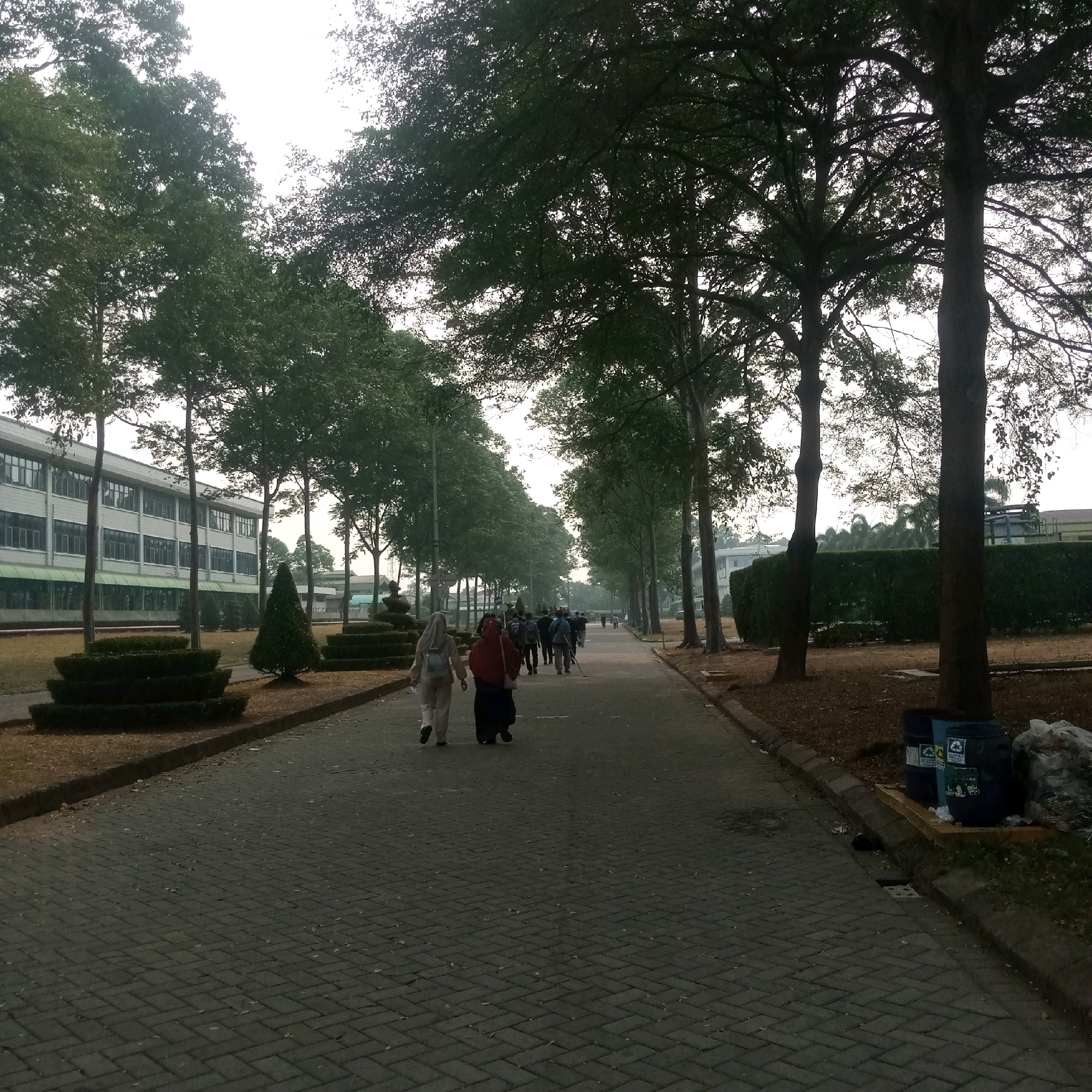 The image depicts a paved walkway lined with trees on either side, leading towards a building. In the foreground, two women are walking away from the camera. The woman on the left wears a light-colored hijab and pants, carrying a light-colored backpack. The woman on the right wears a dark hijab and a dark blue skirt, with a dark bag slung over her shoulder. Further down the walkway, a group of people are walking in the same direction. On the left side of the walkway, there is a long, multi-story building with numerous windows. Sculpted bushes are visible in front of the building. On the right side of the walkway, a thick hedge runs along the edge of the property, and two blue trash cans are situated near the curb. The environment appears to be an outdoor campus or industrial area. The sky is overcast, suggesting a dim or diffused light condition. The image is taken in the city of Cijeruk, Indonesia.