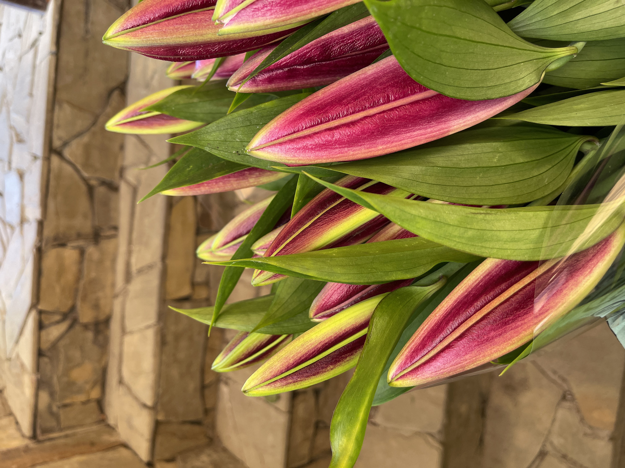 This media file features a close-up, angled view of a bouquet of lily buds and green leaves. The lily buds are a vibrant deep pink with streaks of yellow and green along their edges, and they are still closed. The leaves are a rich green with visible veins. The background is out of focus and appears to be a textured stone wall or pillar, possibly part of an outdoor setting or entryway. The lighting suggests it might be daytime, but the specific time of day is not clearly determinable. There is no discernible text within the image. The focus is entirely on the floral arrangement, with the background providing a muted, textural context. The image does not depict any people, activities, or events.
