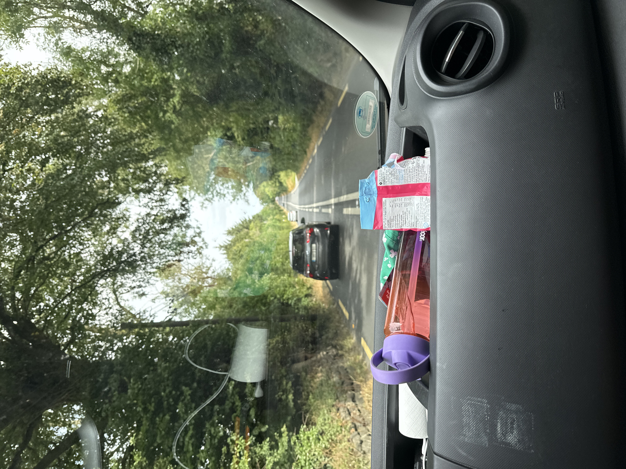 The image is taken from inside a vehicle looking through the windshield. The view is of a tree-lined road with a black SUV driving ahead. On the dashboard of the vehicle, a pink water bottle with a purple lid is visible, along with a package of cookies. A roll of toilet paper is attached to the windshield. The scene suggests the vehicle is on a journey through a rural area, possibly in the city of New Ross Municipal District, Ireland, given the lush greenery and the type of road.