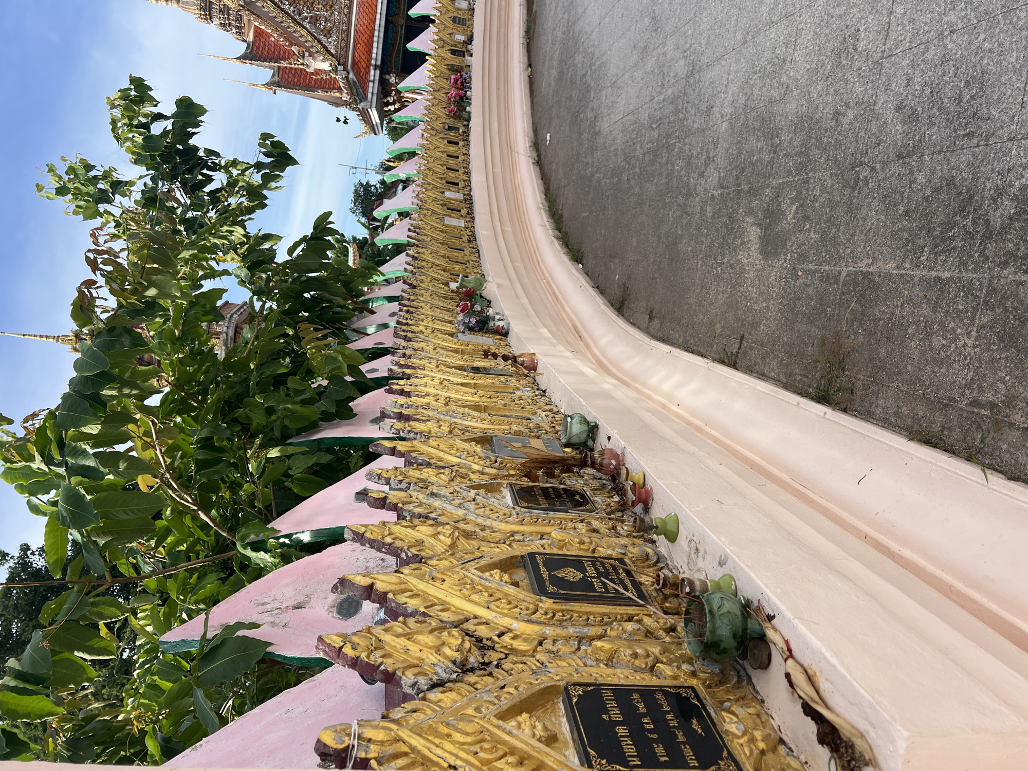 This is a low-angle, outdoor, daylight photograph showing a curved pink wall adorned with intricate golden Buddhist-style ornamentation. The wall is decorated with numerous small, dark plaques, each featuring Thai script. Some of these plaques are partially obscured by the golden embellishments. Scattered amongst the decorations are small, colorful trinkets, including what appear to be miniature flower arrangements and small figurines. To the left of the wall, a large green leafy tree branches out, its foliage filling a significant portion of the frame. In the background, the distinctive tiered roofs of a Thai temple are visible against a clear blue sky. The scene is one of reverence and remembrance, likely within the grounds of a Buddhist temple. The text visible on one of the plaques reads: "นายนาค ยืนนาน ชาตะ ๕ ส.ค. ๒๔๖๒ มรณะ ๒๘ ม.ค. ๒๕๕๐". This translates to "Mr. Nak Yuennan, born August 5, 1919, died January 28, 2007," suggesting the plaques may be memorial tablets. The overall atmosphere is peaceful and spiritual, bathed in natural light.