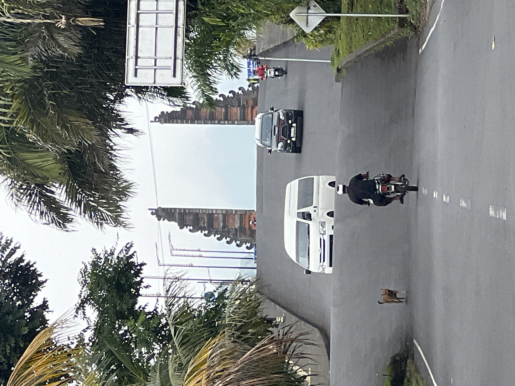 The image shows a street scene in Rendang, Indonesia, with a large, ornate gateway structure in the background, framed by palm trees and other foliage. The road slopes upwards towards the gateway. Several vehicles are visible on the road, including a white van, a black SUV, and two motorcycles. A person wearing a black shirt and checkered shorts is riding a motorcycle in the foreground, facing away from the camera. Another motorcycle rider is further up the road, wearing a red jacket and facing the camera. A ginger-colored dog is walking on the road to the left of the motorcycle rider in the foreground. The sky is overcast. A white sign with a metal frame is visible on the right side of the image, partially obscured by trees. A traffic sign is also visible on the right side of the road.