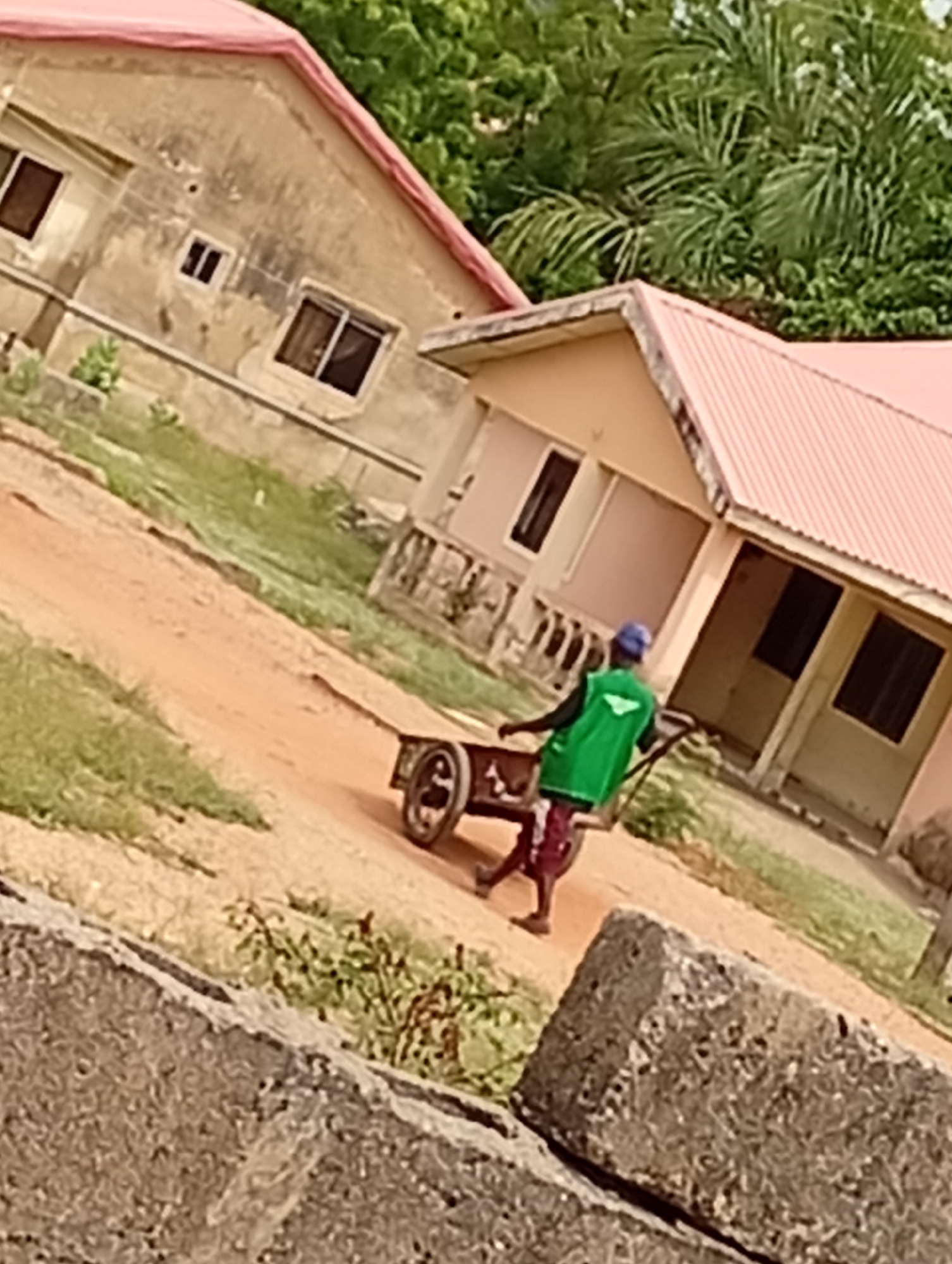 The image depicts an outdoor daytime scene in Adankolo, Nigeria, centered on a person pushing a wheelbarrow along a dirt path. The individual, seen from behind, wears a vibrant green vest over a darker long-sleeved shirt, red or maroon pants, and a blue cap. A faint white logo or symbol, possibly a stylized "V," is visible on the back of the green vest.
The person is actively engaged in pushing a two-wheeled cart or wheelbarrow, suggesting work or the transport of materials. The path itself is unpaved, made of reddish-brown earth, with patches of green grass and small plants growing along its edges.
In the background, two single-story buildings with reddish-orange corrugated roofs are visible. The structure on the left has multiple dark-framed windows, while the one on the right features larger windows and an open doorway. Surrounding the buildings and the path is an abundance of lush green foliage, including trees and shrubs, indicative of a tropical or subtropical environment. A textured concrete or stone barrier or wall is partially visible in the lower foreground, extending from the bottom left corner. The natural light suggests clear weather during the day, likely morning or afternoon.