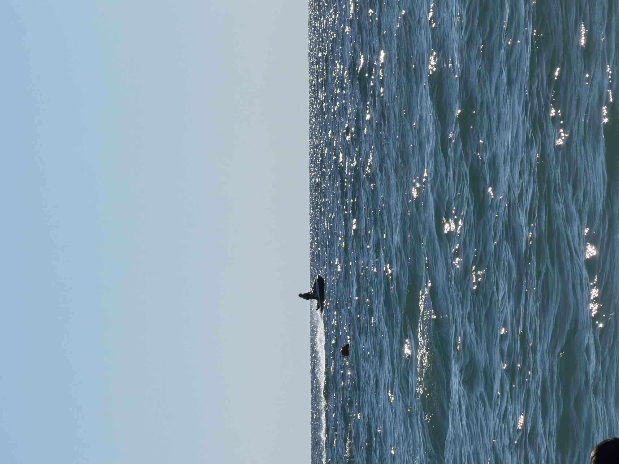A person rides a jet ski on the dark blue water of the sea under a clear blue sky. The sun reflects off the choppy water, creating many bright sparkles. A red buoy floats in the water to the left of the jet ski. In the foreground, the top of a dark-haired person's head is visible, appearing to be in the water. The scene is likely a recreational area in Sochi, Russia, given the presence of the jet ski and the clear weather.