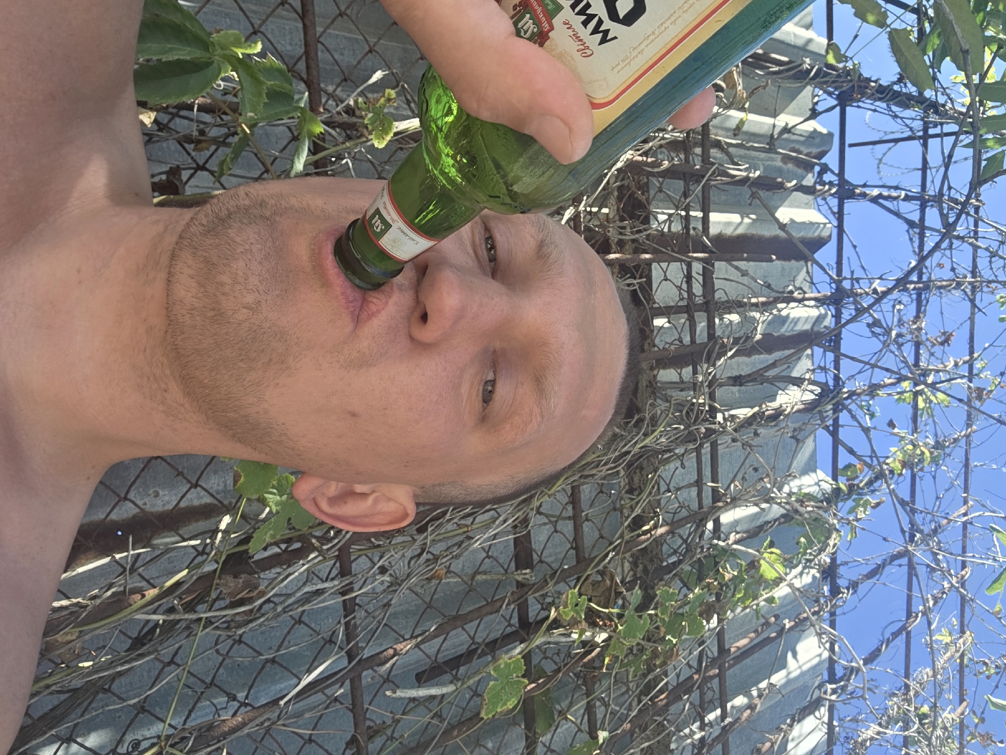 A close-up, low-angle, outdoor, daytime, selfie depicts a bald, fair-skinned man drinking from a green glass bottle of beer. The man is bare-chested and is positioned in the lower right of the frame. His head is tilted back and he is holding the bottle to his lips with his right hand. His eyes are open and he is looking towards the camera. The background consists of a corrugated metal fence and a metal mesh fence with overgrown vines and branches. The sky is visible through the branches. The bottle has a label with Cyrillic writing.