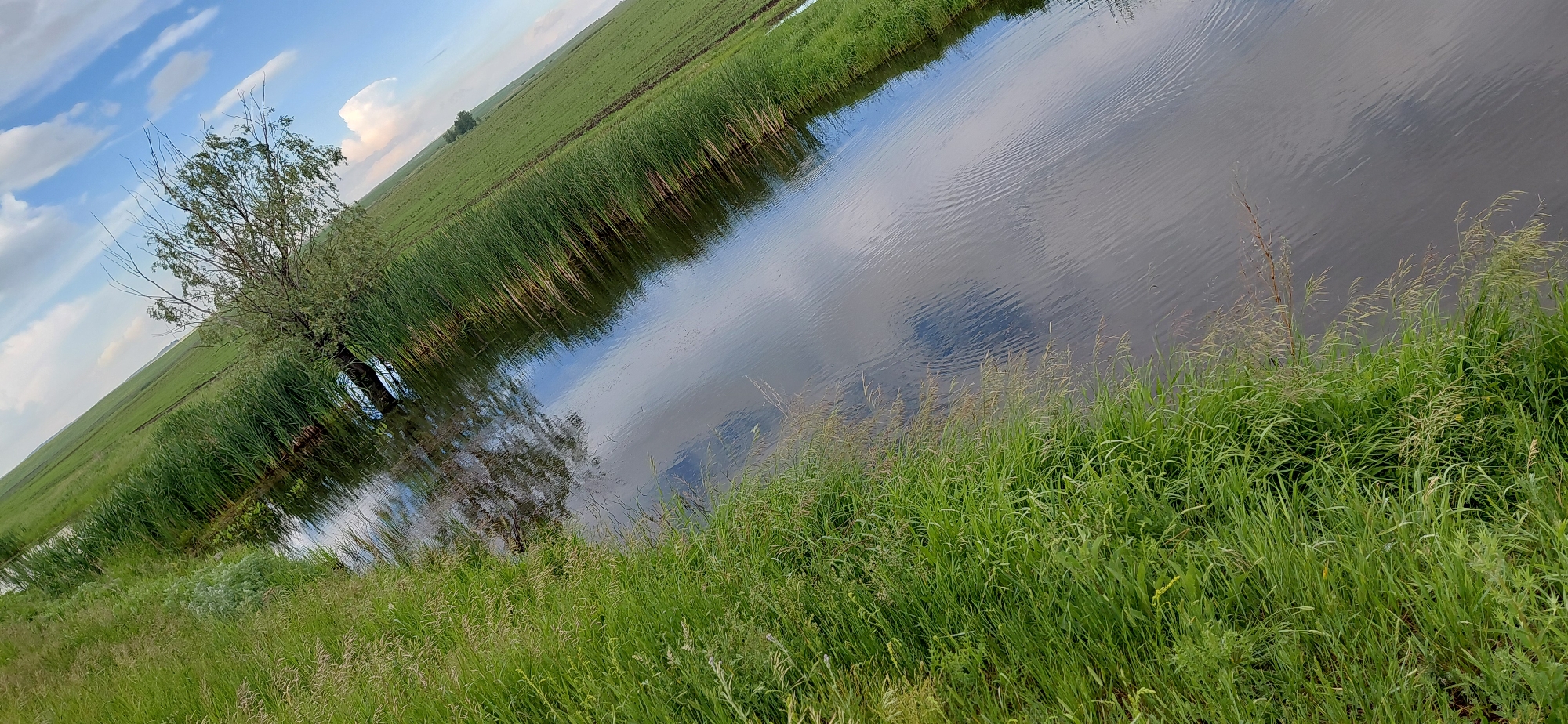 This media file captures a serene rural landscape in Vozdvizhenka, Russia. The primary subjects are a calm body of water, lush green vegetation, and a single tree.
The scene depicts a long, narrow body of water, possibly a canal or ditch, running through an expansive green field. Tall green reeds and grass grow densely along the water's edge, creating a vibrant border. On the left side of the frame, a lone tree with sparse foliage stands partially submerged in or very close to the water, its branches reaching upwards. Its reflection is visible in the placid water. Beyond the water and reeds, flat, cultivated green fields stretch into the distance under a vast sky.
There is no specific activity taking place; the image is a static portrayal of nature.
Notable details include the time of day, which appears to be daytime, likely late afternoon or early morning, given the soft lighting and the presence of both bright areas and subtle shadows. The sky is partly cloudy with patches of blue, and these clouds are clearly reflected in the still, dark surface of the water, creating an illusion of depth. The water's surface shows subtle ripples. The overall impression is one of tranquility and natural beauty. There is no visible text in the image.