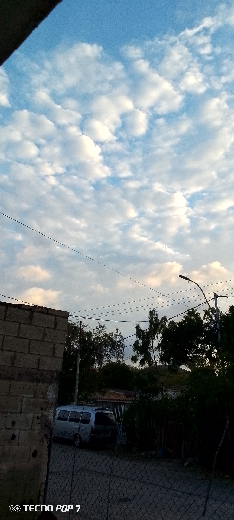 The image depicts a daytime scene in Altagracia, Venezuela. The sky is predominantly blue with numerous small, puffy white clouds scattered across it. Several utility wires stretch across the midground of the image, cutting through the sky. In the lower portion of the image, there's a partially visible brick structure on the left and dense greenery consisting of trees and bushes covering the foreground and midground. A light-colored van is parked near the brick structure. A street lamp stands among the trees. A chain-link fence is partially visible in the immediate foreground. The lower left corner of the image includes a "TECNO POP 7" watermark.
