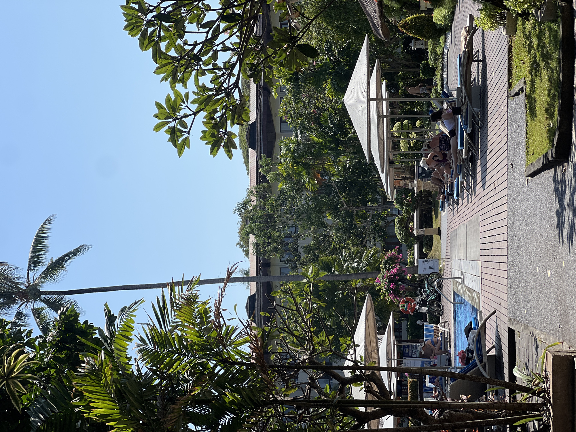 The image depicts a tropical resort setting near the city of Denpasar, Indonesia, under a clear blue sky. In the foreground, lush green foliage partially obscures a paved walkway and lounge chairs arranged on a wooden deck beside a swimming pool. Several individuals are visible lounging on the chairs, some of whom appear to be sunbathing. A red lifebuoy is mounted on a pole near two bicycles parked beside the pool.
In the midground, a row of white canopied lounge chairs are occupied by several people. A large, multi-story building with a reddish-brown roof and white walls dominates the background, surrounded by dense tropical trees and vegetation. A tall palm tree stands prominently to the left of the building, with its fronds silhouetted against the sky. The overall scene conveys a relaxed atmosphere typical of a resort vacation destination.