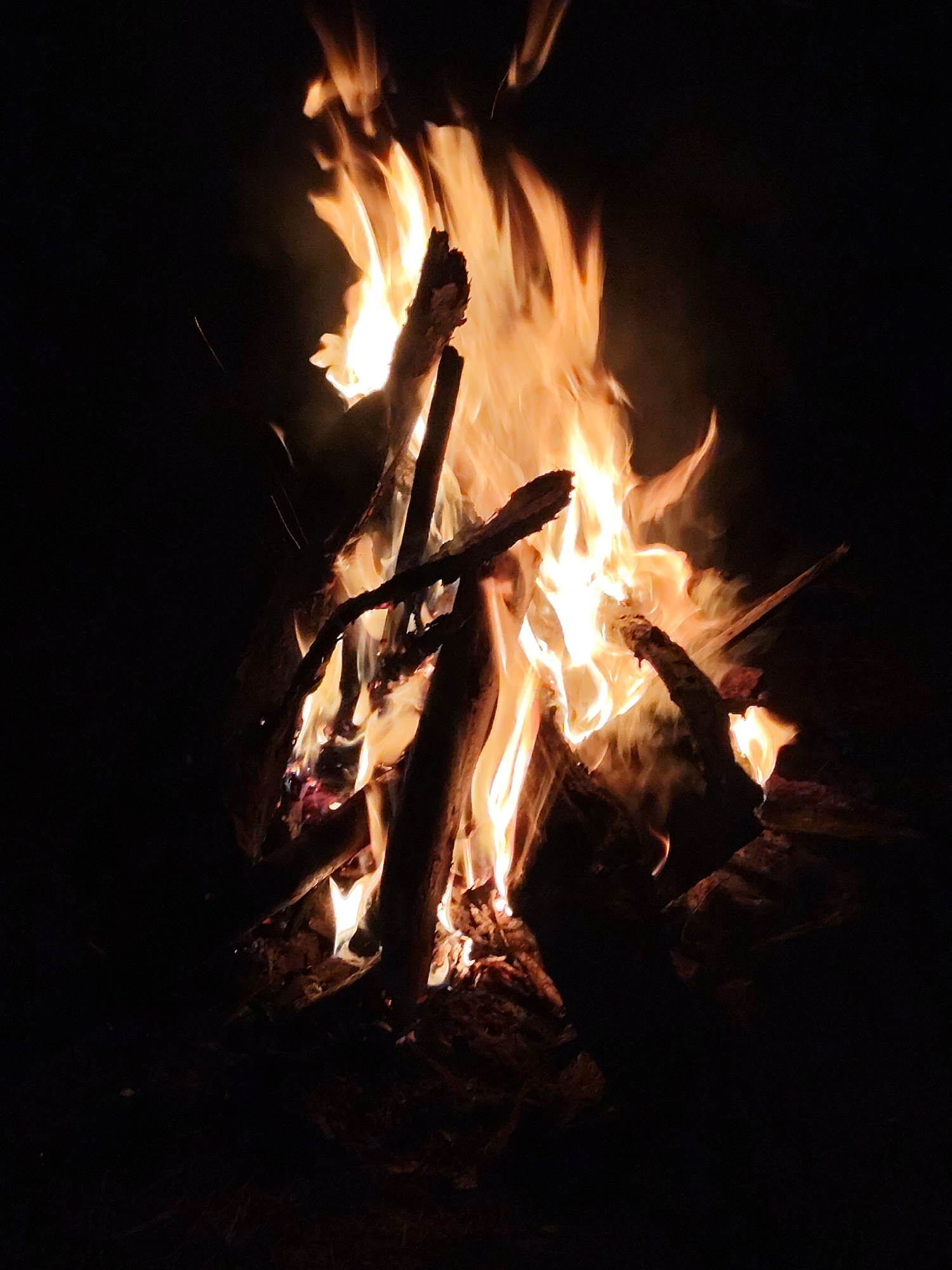 The image displays a vibrant bonfire burning intensely against a completely dark background, indicative of nighttime. The central subject is a stack of logs engulfed in dynamic flames, showcasing a spectrum of colors from brilliant white and yellow at their core to glowing orange and red at the edges. The fire illuminates the textured surfaces of the burning wood, revealing charred sections and glowing embers beneath the active flames. Subtle wisps of smoke are visible, blending with the darkness. The scene is tightly framed, leaving no discernible environmental context or location cues beyond the fire itself. No individuals are present, and there is no visible text in the image. The photograph emphasizes the raw power and illumination of the burning wood in isolation.
