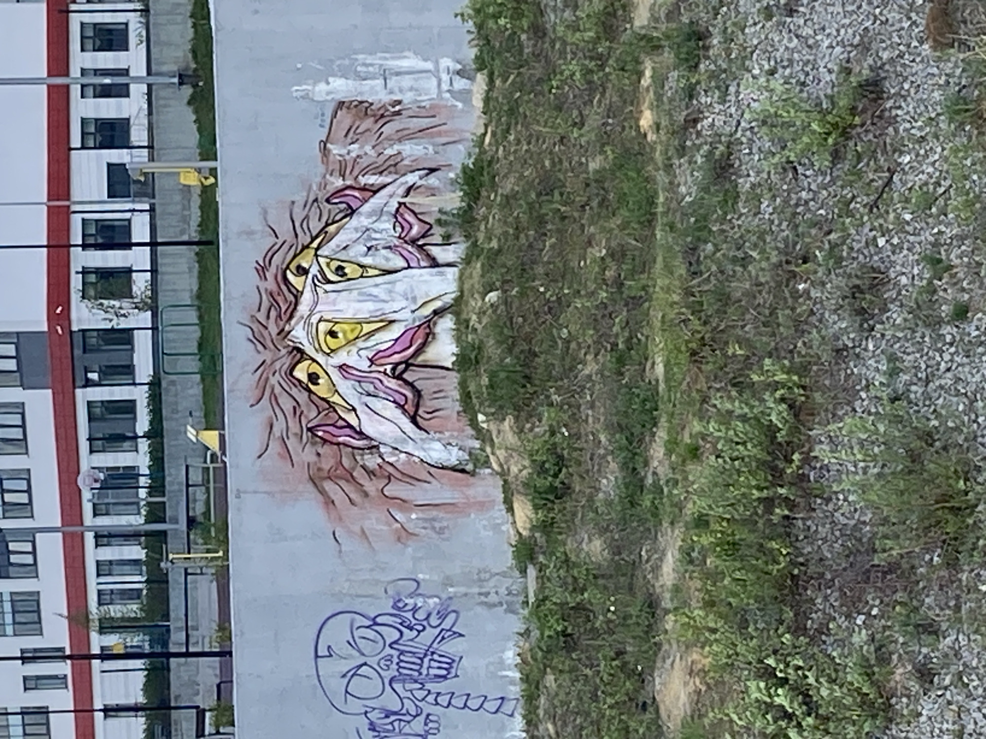The image shows a section of a gray concrete wall with two distinct graffiti artworks. The upper graffiti features a multi-eyed, stylized figure with yellow eyes and pink outlines. Below it is a blue outline of a skull. The wall is adjacent to an area covered in mixed vegetation and gravel. In the background, a multi-story building with a white facade and red accents is visible. The scene is located outdoors in Yekaterinburg, Russia.