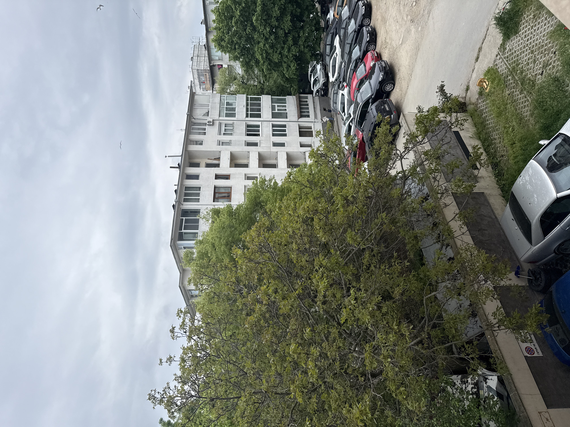 An elevated, oblique view captures a building exterior in Varna, Bulgaria, adjacent to a parking area filled with cars. The white building is multi-storied and features numerous windows and some balconies. A large tree with dense green foliage partially obscures the lower portion of the building. A row of parked cars occupies a paved area to the side of the building. The sky is overcast. Additional buildings are visible in the background.