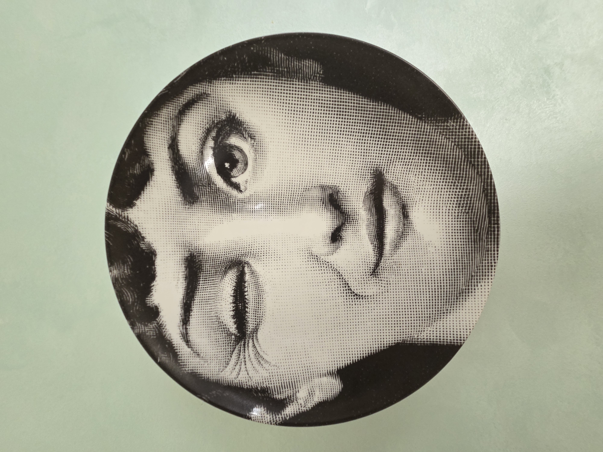 The image shows a round plate with a black and white halftone image of a woman's face on it. The plate is sitting on a light green surface. There is no visible indication of the location being in Khimki, Russia.