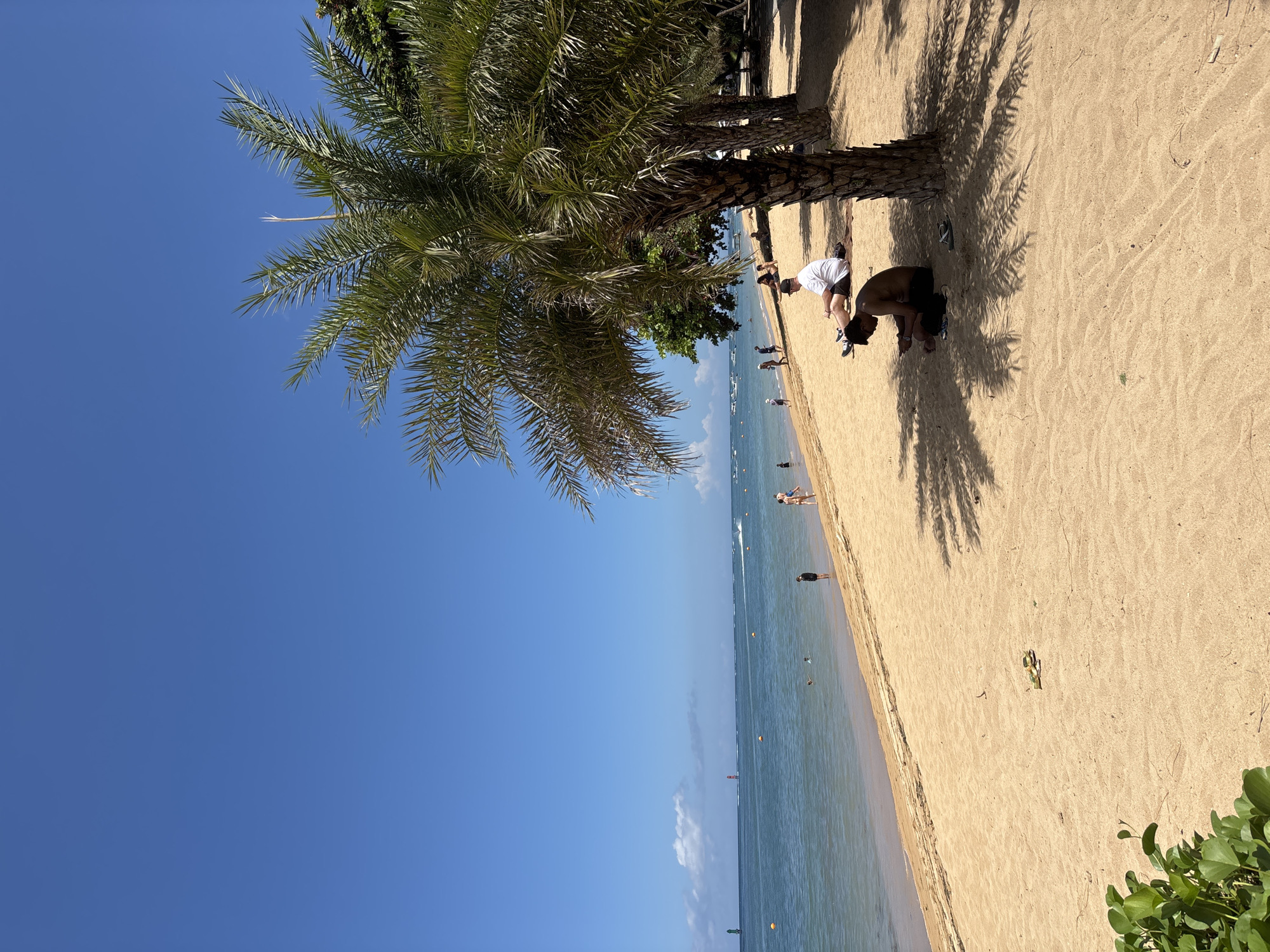 The image shows a beach scene, likely taken in Denpasar, Indonesia, based on the tropical vegetation. The scene includes a palm tree casting a shadow on the tan sandy beach. The sky is clear and blue. The ocean is calm, with a few boats and buoys visible in the distance. Some people are walking along the beach, and two individuals are crouching near the base of the palm tree.