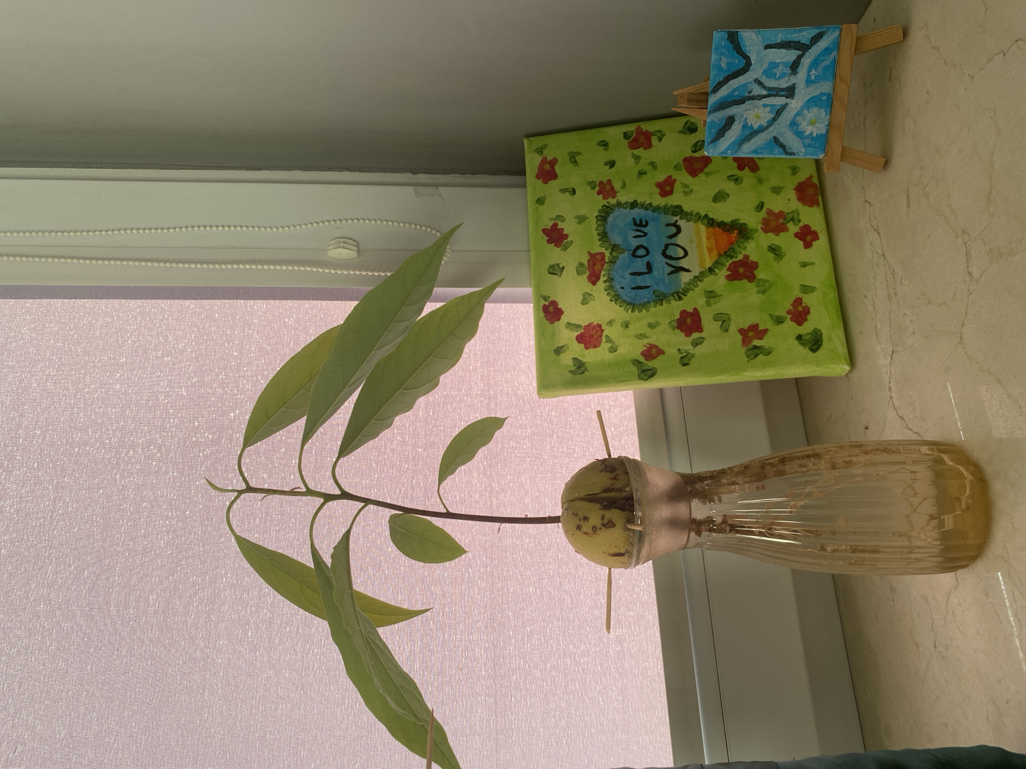 The image depicts an indoor still life by a window. The main subject is an avocado pit suspended in a glass vase with toothpicks, with a stem and several green leaves growing from it. The pit is partially submerged in water within the vase. Behind the avocado plant, a small, framed painting with a floral design and a heart shape containing the words "I LOVE YOU" is visible. Another smaller painting, abstract in blue and white, is displayed on a miniature easel to the right of the larger painting. The scene is set on a marble surface, likely a windowsill or table, with a light pink, textured blind or curtain covering the window. The lighting suggests it is daytime, possibly morning or afternoon, with natural light filtering through the window. The overall mood is calm and domestic, with a touch of artistic expression. No specific weather conditions are discernible. The location context of Łódź, Poland, does not offer any specific visual cues within the image itself.