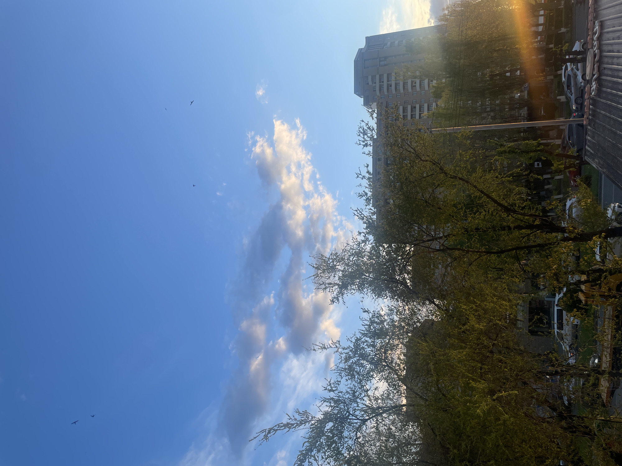 The image presents an urban landscape bathed in late afternoon or early evening sunlight, looking up towards a clear blue sky with scattered clouds.
The upper portion of the frame is dominated by a vibrant blue sky, adorned with scattered white clouds ranging from small, puffy cumulus formations to more diffuse, wispy streaks. Several small, dark birds are visible in flight across the sky.
The lower and right-hand sides of the image feature abundant foliage from numerous deciduous trees, their leaves a fresh, bright green, indicating springtime or early summer. Partially obscured by these trees, a tall, modern apartment building with multiple stories and numerous windows stands on the right. Its architecture suggests a contemporary residential structure.
A distinct warm, golden lens flare or sunbeam originates from the upper right, illuminating parts of the scene and indicating the sun's low position, characteristic of a late day. This light creates a peaceful atmosphere. Below the trees and within the urban setting, several vehicles are parked, partially visible on a street or parking lot. Horizontal utility lines or power cables stretch across the mid-ground, connecting poles that are mostly hidden by the trees. A textured edge, possibly a building facade or railing, is visible in the far right foreground.
The overall scene is calm and depicts a typical urban residential area in Yerevan, Armenia, during fair weather. No discernible text is visible in the image.