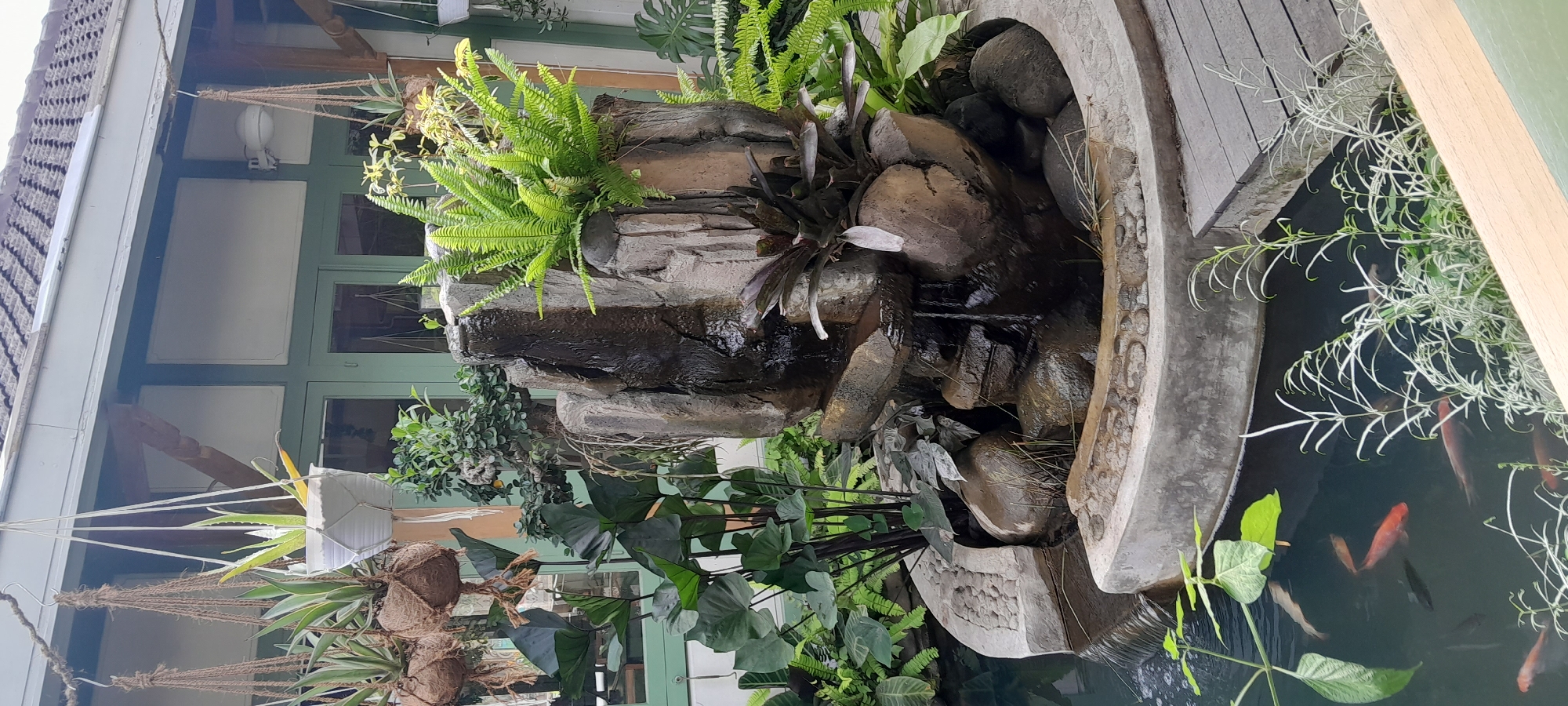 This is an outdoor scene at what appears to be a cafe or restaurant in Sleman, Indonesia, with a focus on a small man-made pond and water feature. The pond contains several goldfish, visible swimming in the dark water. A stone-like structure with multiple tiers serves as a water fountain, with water cascading down its front. Lush green plants, including ferns and large-leafed varieties, surround the fountain and the pond. Hanging planters with more greenery are suspended from the building's overhang. The building itself has a tiled roof and light-colored walls with green-trimmed windows. A wooden deck or walkway is situated to the right of the pond. The overall ambiance is that of a tranquil, green oasis.