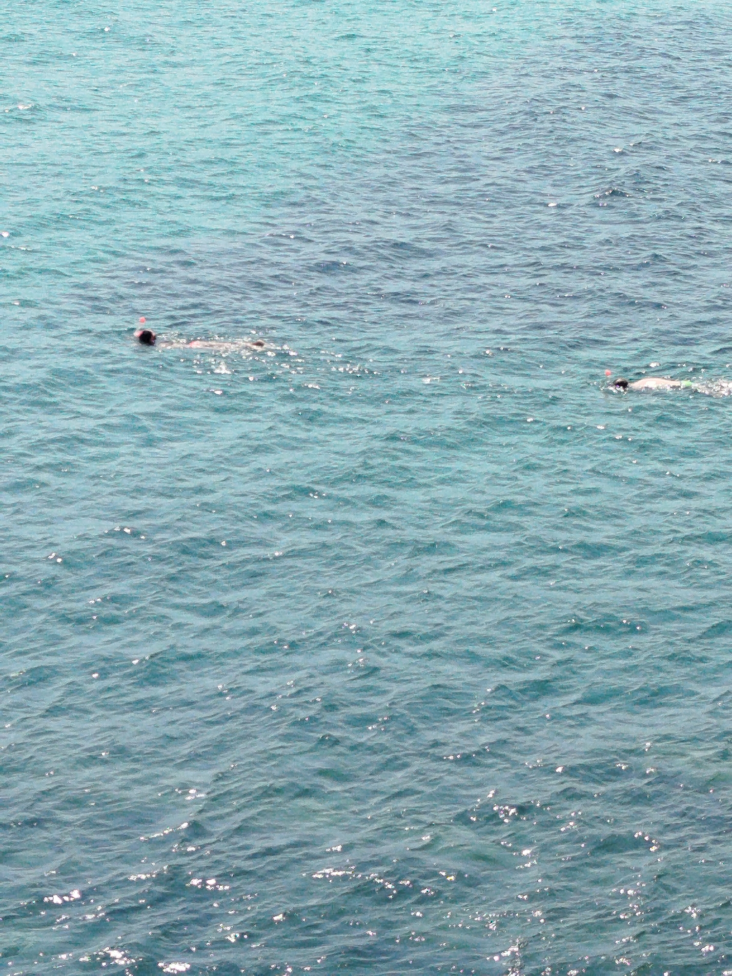 Two individuals are snorkeling in the clear, turquoise waters of Sithonia Municipal Unit, Greece. The water is calm with gentle ripples, and sunlight reflects off the surface, creating sparkling highlights. The snorkelers are in the mid-distance, appearing as small figures against the vast expanse of the sea. One snorkeler is slightly closer to the left side of the frame, while the other is further to the right. The surrounding environment is entirely water, with no land visible.