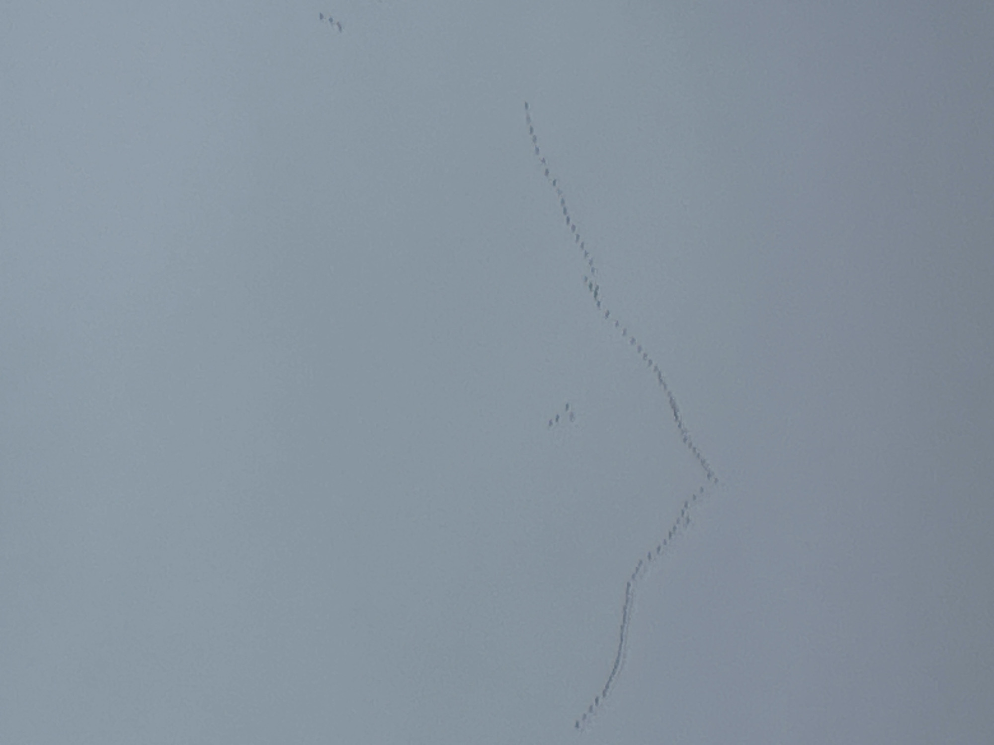 The image shows a pale blue, overcast sky. A formation of birds is flying diagonally across the frame, from the upper right to the lower right. The formation is initially a tight, single line, then it widens and splits into a couple of groupings before continuing diagonally downward and to the right as a single line again. Three birds are flying in a small, detached grouping in the upper left of the frame. I am unable to determine the location as Rutherglen, United Kingdom without any landmarks or other visual context.