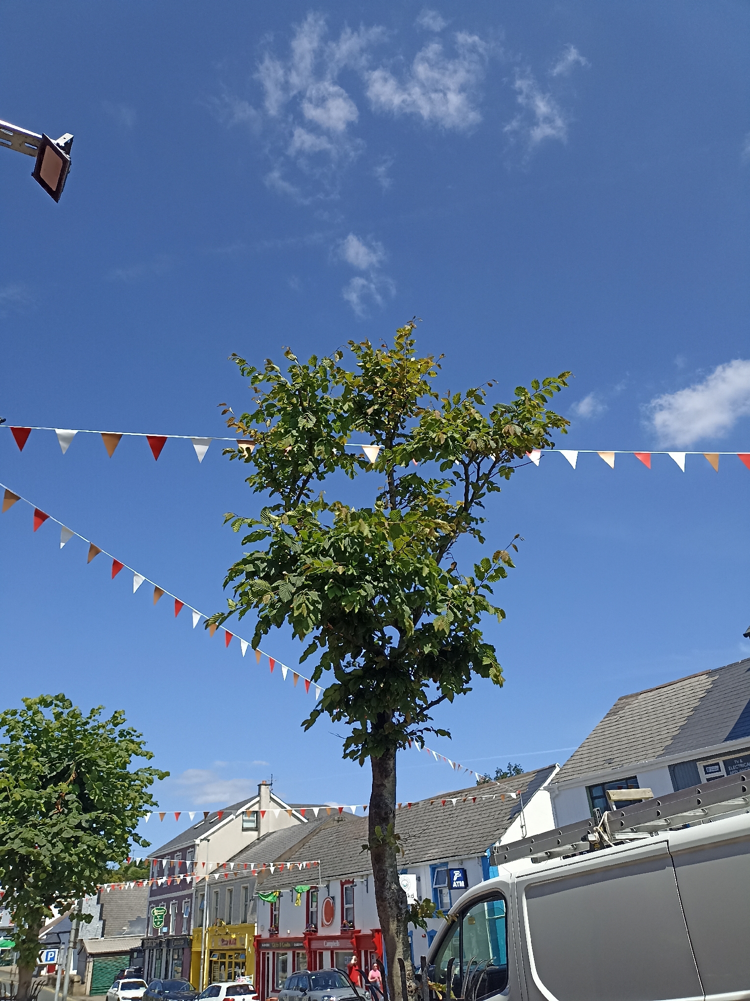This image, captured in Dungloe, Ireland, depicts a street scene on a clear, sunny day with a bright blue sky dotted with scattered white clouds. A prominent tree with green foliage stands in the foreground, partially obscuring the view of several buildings. Strung across the sky are rows of small, triangular flags in white, red, and orange, likely decorative bunting for an event.
The buildings lining the street appear to be shops and businesses, with colorful facades. Some of the storefronts are visible, displaying signage such as "ATM" and names like "Campbells" and "N.A. Electrical Appliances." A white van with a ladder rack is parked in the foreground, facing towards the right of the frame. Two people are partially visible in the lower right corner, one in a pink top. Further down the street, several cars are parked. The overall impression is that of a lively town center on a festive occasion.