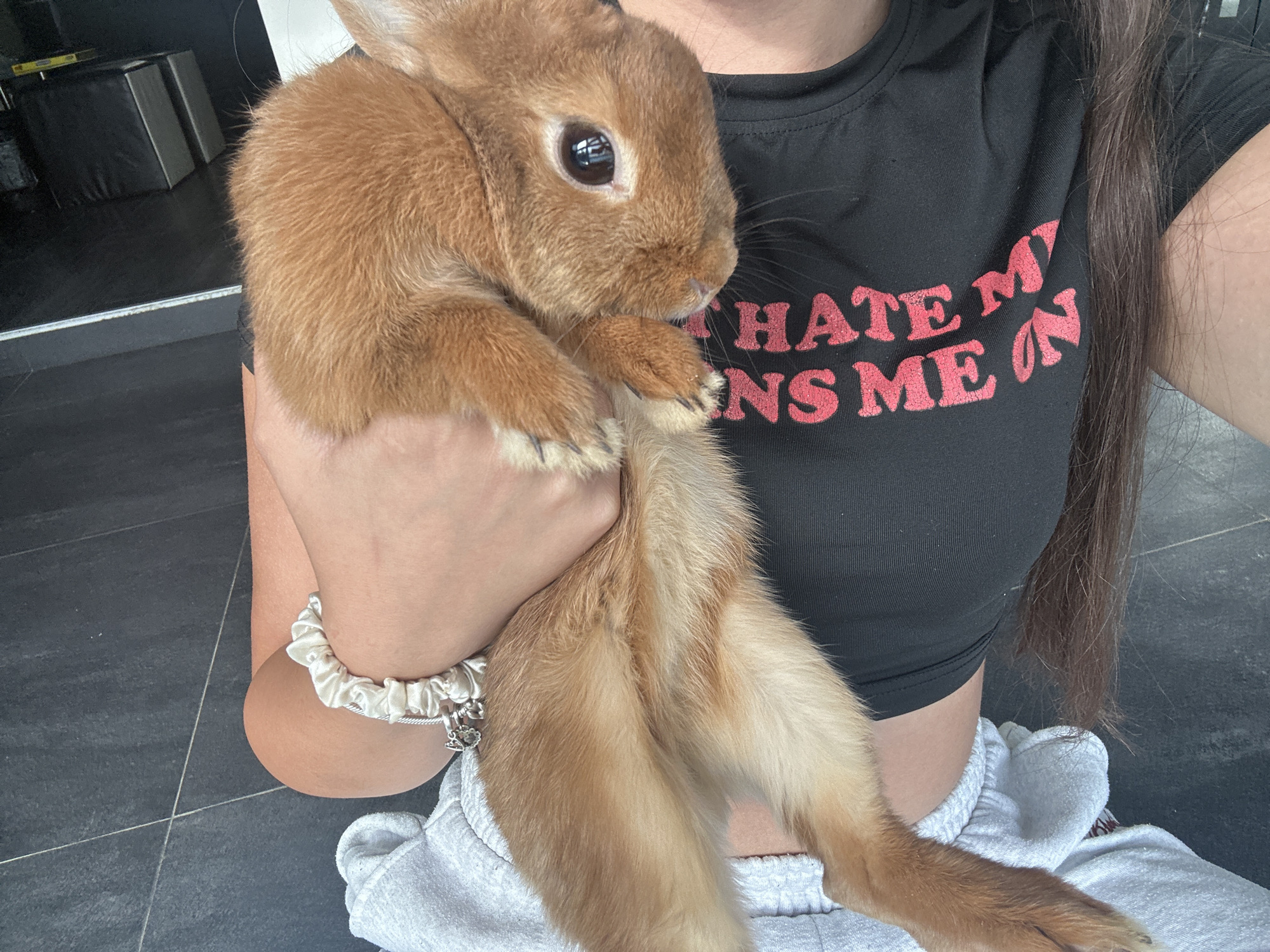 The image shows a person holding a small, reddish-brown rabbit indoors. The person, with long dark hair, is seated or kneeling, wearing a black crop top and light grey sweatpants. A light-colored, possibly satin, scrunchie with a charm is worn on their left wrist. The rabbit is nestled comfortably in the person's arms, appearing calm, with its dark eyes looking upwards. Its fluffy, ginger-colored fur and small paws are clearly visible.
The activity depicts a moment of affectionate interaction between the person and the pet. The setting appears to be a modern indoor space, indicated by the dark tiled flooring and some dark, minimalist furniture visible in the background. The lighting suggests it is daytime.
A notable detail is the text on the person's black crop top, which reads "I HATE MY ENEMIES" in red, stylized letters. The overall mood conveyed is one of warmth and tenderness. While the location context of Dolna Gradeshnitsa, Bulgaria is provided, there are no specific visual cues within the image to confirm this geographical detail.