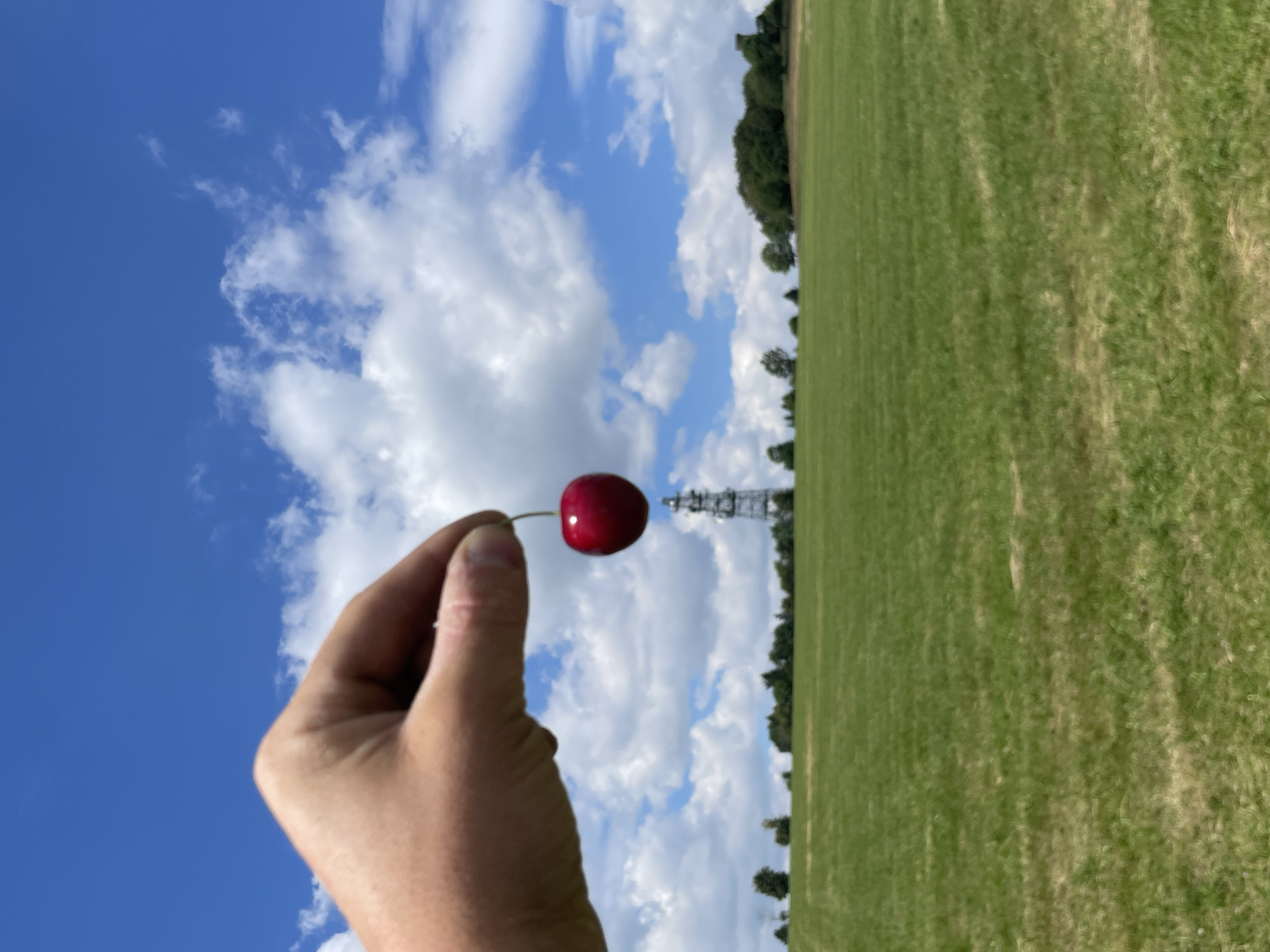An outdoor, close-up, eye-level, vertical, full shot shows a person's hand holding a red cherry by its stem between their thumb and index finger. The cherry is in focus. The background is out of focus and consists of a wide, green, grassy field, rolling hills with scattered trees, a distant cell tower, and a bright blue sky with white, fluffy clouds. This scene appears to be a landscape view of the area around Schwarzenborn, Germany, likely on a sunny day.