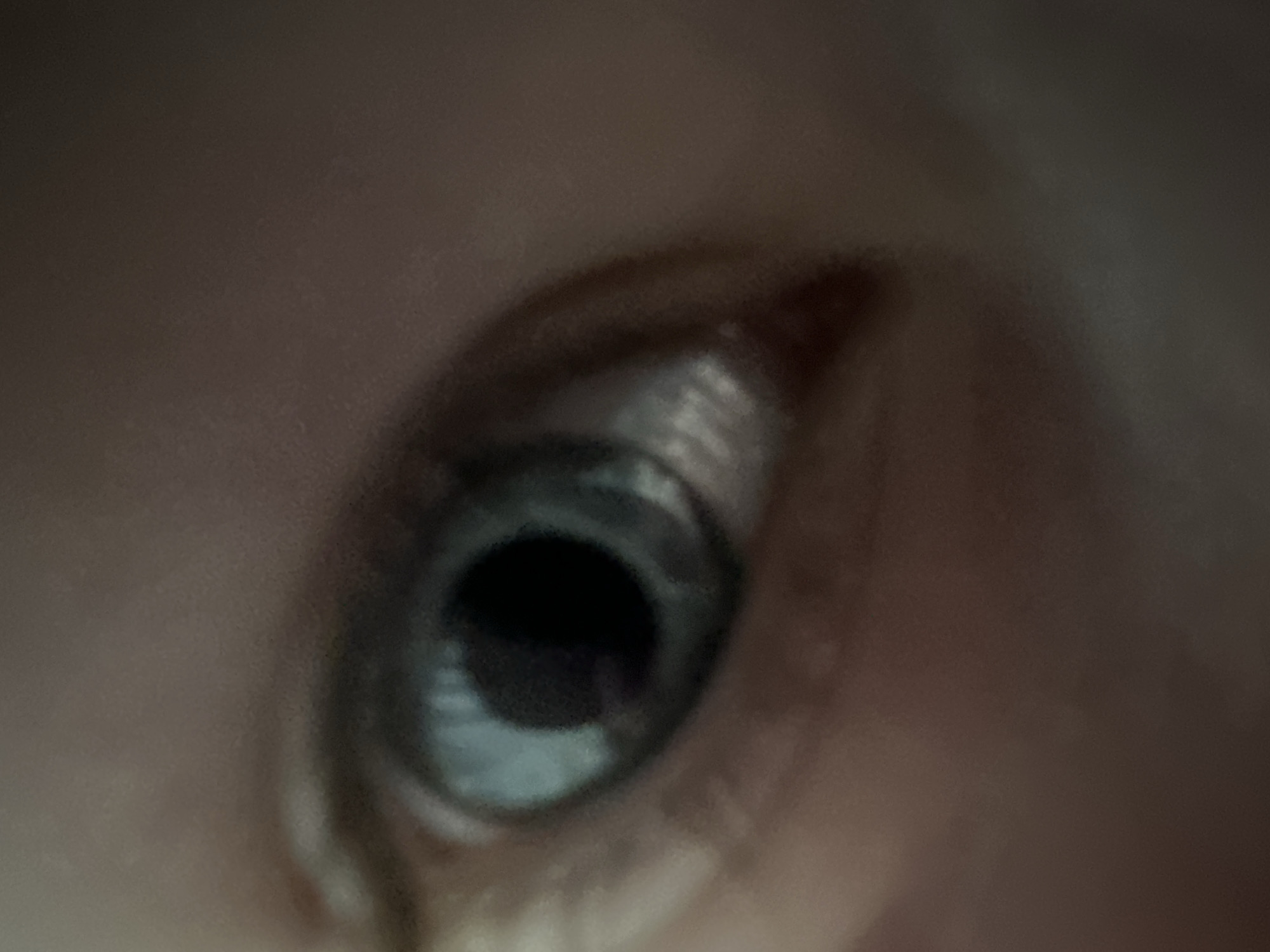 A close-up, slightly out-of-focus image shows a human eye. The iris is light blue or gray, and the pupil is dark. The surrounding skin is light-toned. There is no information in the image to determine its location in Chaikovsky, Russia, or any details about subjects, objects, actions, interactions, or the environment.