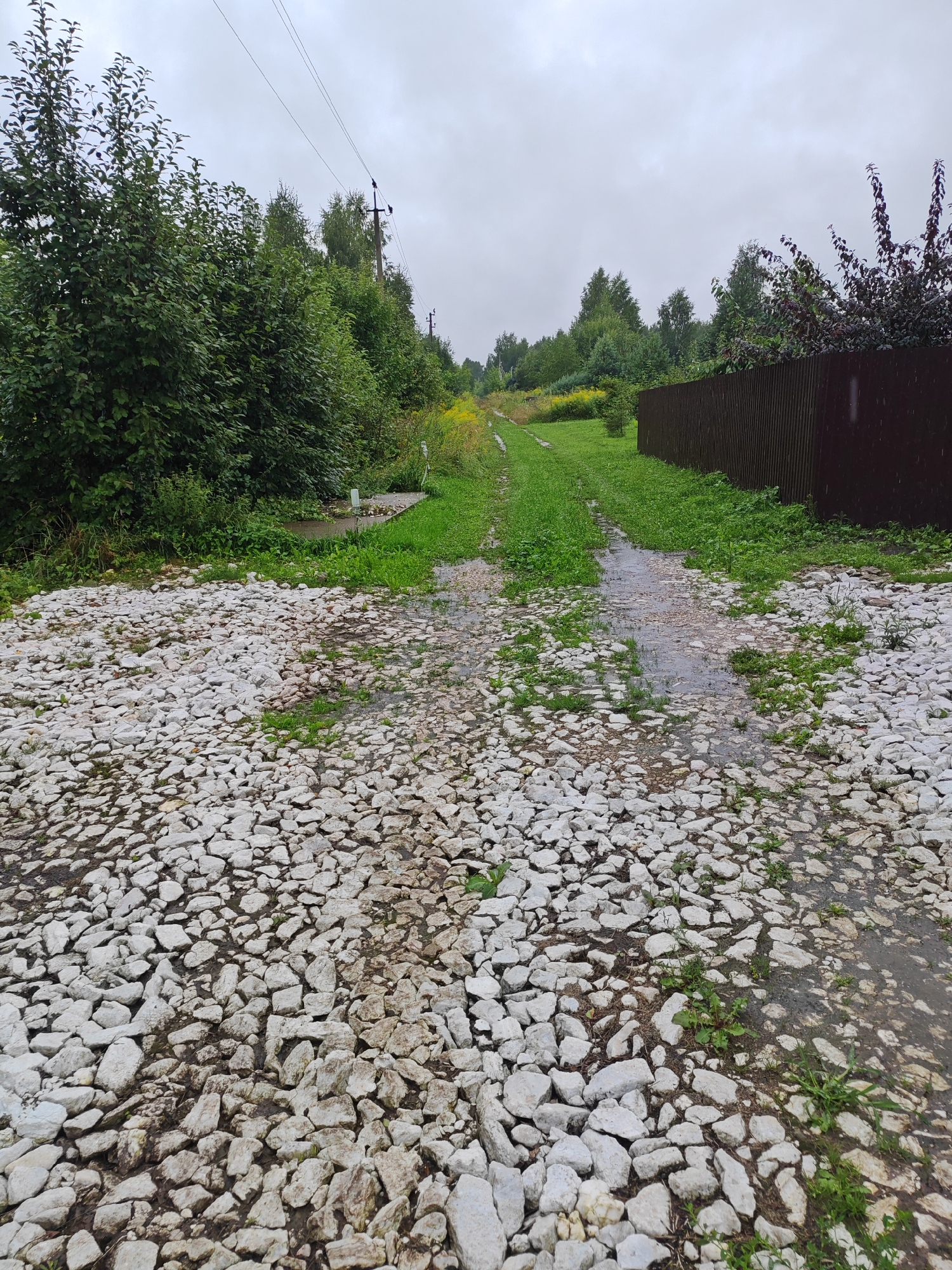 A rocky path, wet and partially covered in shallow puddles, leads into a green, grassy area under an overcast sky. To the left, dense green foliage and trees form a wall of vegetation, with power lines and poles visible overhead and extending into the distance. To the right, a dark brown corrugated metal fence runs along the edge of the grassy area. The scene depicts a rural or semi-rural environment.