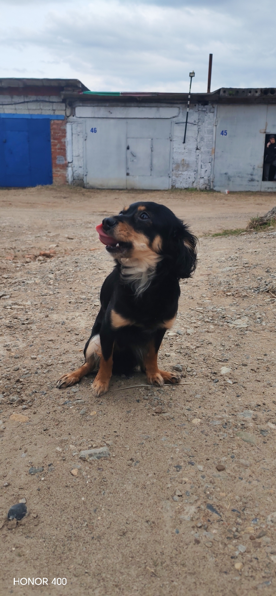 The photo shows a small black and tan dog sitting on a dirt and gravel ground in front of a row of garages. The dog is looking to the left and has its tongue sticking out. The garages are numbered 45 and 46, with one painted blue on the far left. A person is visible in the doorway of garage number 45. The image was taken in the city of Noviy, Russia. The sky is overcast. The bottom of the image shows the word "HONOR 400".