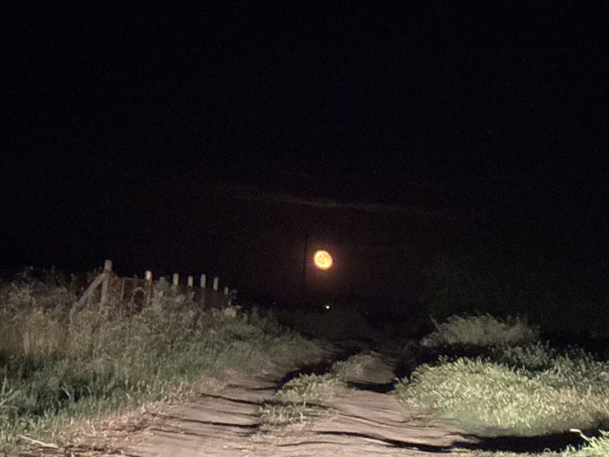 The image depicts a tranquil, rural night scene in Karadjovo, Bulgaria. A dirt or gravel path extends from the foreground into the dark distance, flanked on both sides by dense, tall grasses and shrubbery. On the left side of the path, a weathered wooden fence, composed of vertical posts, is partially visible amidst the vegetation.
The dominant feature of the scene is a large, bright, orange-yellow full moon, positioned prominently in the center of the dark night sky. The moon casts a soft glow, subtly illuminating the path and foliage below. Below the moon, a smaller, fainter light source is discernible, which could be a distant object or an atmospheric artifact. The sky is deep black, revealing a few tiny, faint specks that suggest stars. The overall impression is one of solitude and natural nocturnal beauty. There is no visible text in the image.