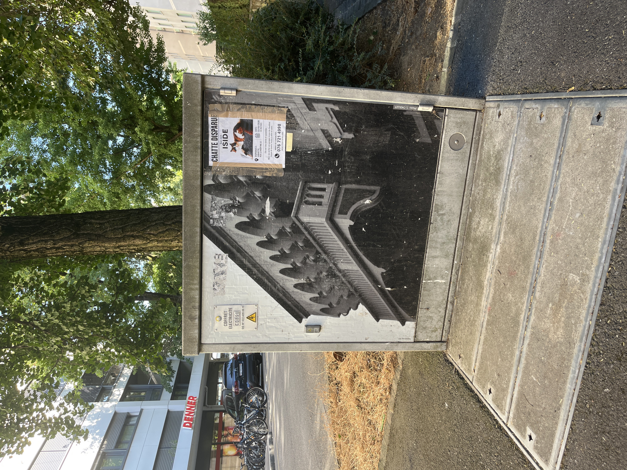 The image depicts an outdoor electrical cabinet, likely in an urban setting, with a large black and white photograph adhered to its front. The photograph features an architectural detail, possibly arches and a balcony, rendered in a dramatic, high-contrast style. A smaller, colorful "missing cat" poster is attached to the upper right of the electrical cabinet. The poster is in French and includes a picture of a cat, a date, and a contact phone number. The electrical cabinet itself is weathered and has some peeling or damaged elements.
To the left of the cabinet, a building with the red "DENNER" logo is visible, indicating it is a supermarket or convenience store. Several bicycles are parked in front of the building. A dark-colored car is also parked nearby. The ground in front of the cabinet and to the left appears to be asphalt, with a patch of dry, dead grass or foliage to the left of the cabinet. The environment is sunlit, suggesting it is daytime.
A closer examination of the "missing cat" poster reveals it is for a cat named "ISIDE" that disappeared on 07/07/2023 from Rue de la Martine 22, Geneva. The poster also states the cat is "très timide et craintive" (very shy and timid). The contact number listed is 076 721 4998. This information strongly suggests the location is Geneva, Switzerland, specifically in the vicinity of Rue de la Martine.
The electrical cabinet itself has identification labels. One label reads "COFFRET ELECTRICITE C0890" and includes a serial number "N° 022.420.88.11". There is also a yellow warning triangle with a lightning bolt symbol, indicating an electrical hazard. The larger photograph on the cabinet has a watermark in the bottom right corner that reads "Photo S. CHOLLET".