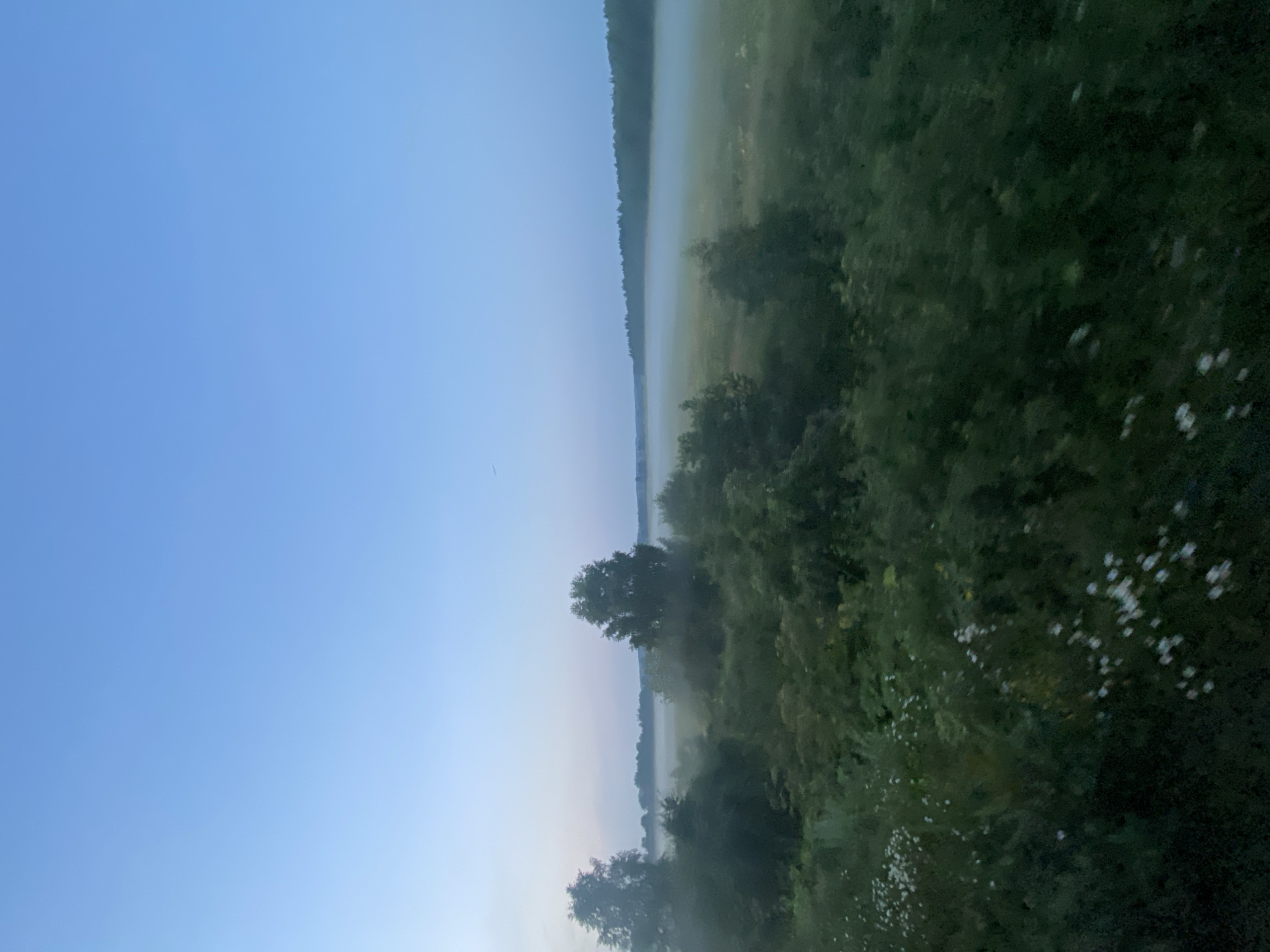 The image depicts a tranquil, misty landscape, possibly taken at dawn or dusk, given the soft light and the presence of fog. The scene is dominated by lush green vegetation in the foreground, with scattered white wildflowers adding touches of color. Several trees, some appearing taller and more defined than others, punctuate the dense foliage. In the middle ground, a field is partially obscured by a low-lying mist, creating a sense of depth and mystery. Beyond the field, a dense line of trees forms a dark horizon against a clear, pale blue sky. The overall impression is one of natural beauty and serenity, characteristic of a rural or semi-rural environment. There are no people or man-made structures visible in the frame. The location within the city of Kauchuk Stantsiya, Russia, suggests a setting that combines natural elements with a specific geographical context, although the image itself does not provide explicit markers of an urban environment.