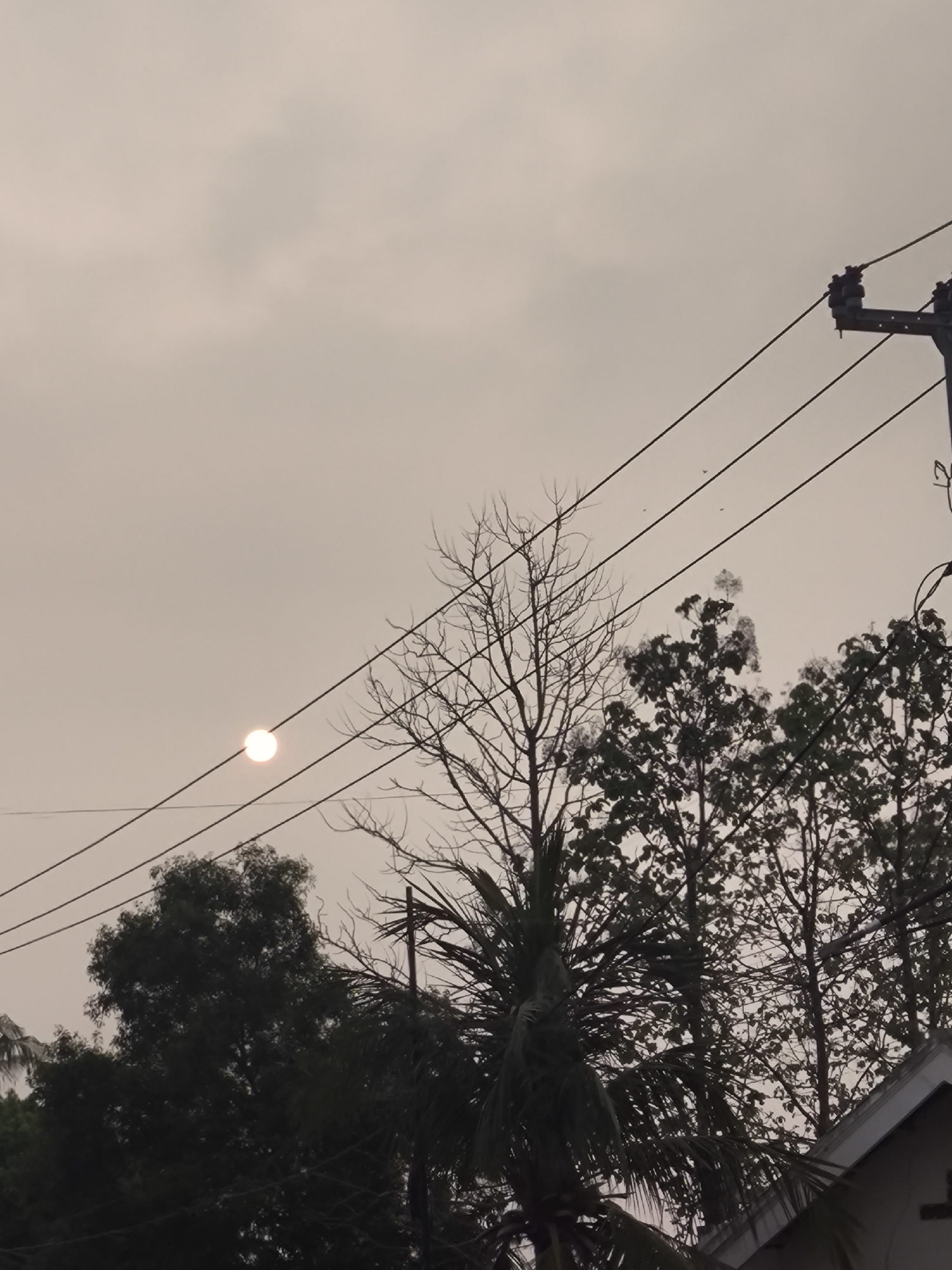 The image shows a cloudy sky with the sun visible as a bright, diffused orb in the upper left quadrant. Several power lines traverse the sky, supported by a utility pole on the right. Silhouettes of trees, some with bare branches and others with foliage, occupy the lower half of the frame, along with the peak of a building's roof in the bottom right corner. The scene appears to be an outdoor setting, likely residential or semi-urban, given the presence of utility infrastructure and a building. The lighting suggests it is either dawn or dusk. The location in Cilegon, Indonesia, is not explicitly evident from visual cues within the image itself but is provided contextually.