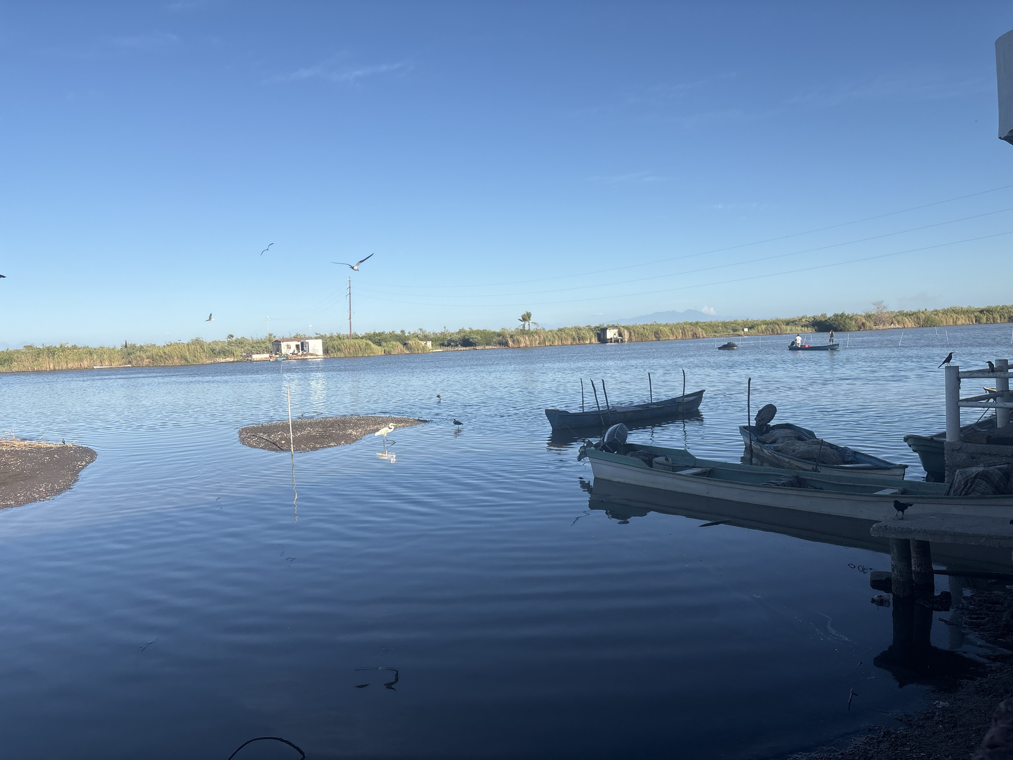 This image depicts a tranquil waterfront scene in Mexcaltitán de Uribe, Mexico, characterized by a flat, calm expanse of water. Several small boats are docked or moored near a concrete pier in the foreground, with one notable boat containing an outboard motor. In the background, across the water, is a low shoreline covered with reeds and a few scattered, small structures. A power line stretches across the horizon. Birds can be seen both perched near the pier and flying overhead. The scene is illuminated by a bright, clear blue sky, with minimal cloud cover.