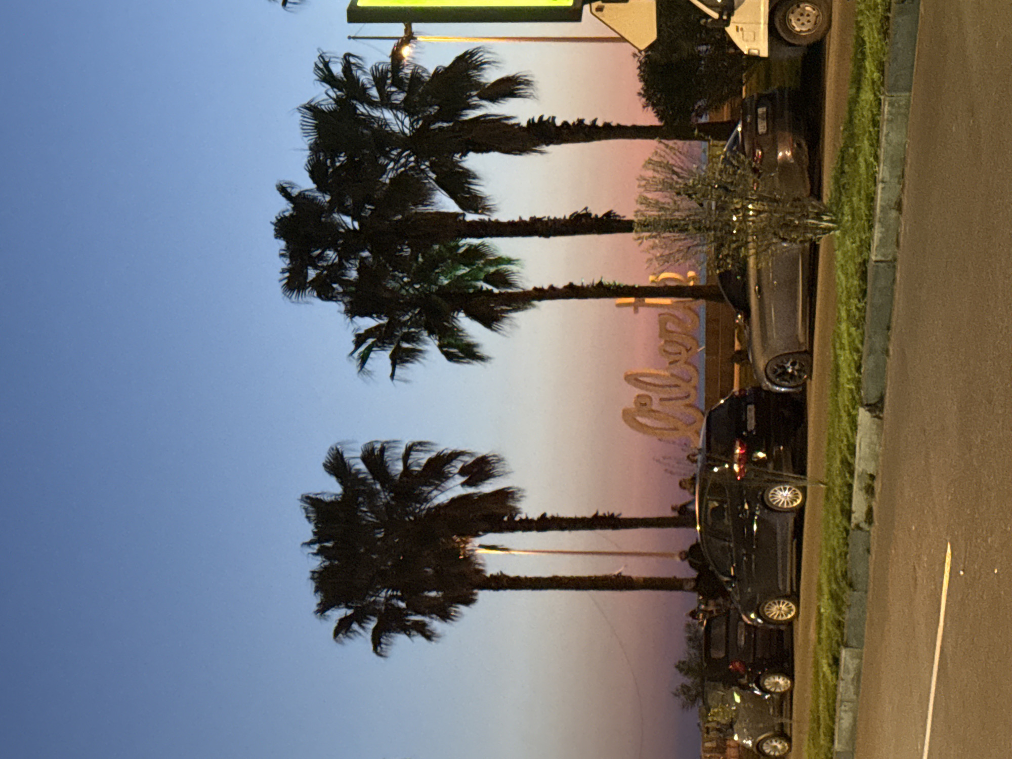 The image shows a street scene at dusk, likely in Batumi, Georgia, given the presence of palm trees and signage. The sky transitions from blue to a rosy hue. Silhouetted palm trees are prominently featured on the left side of the frame. Several parked cars line the right side of the street. A sidewalk with a grassy strip separates the cars from the road. A partially visible sign with golden letters is present in the background.