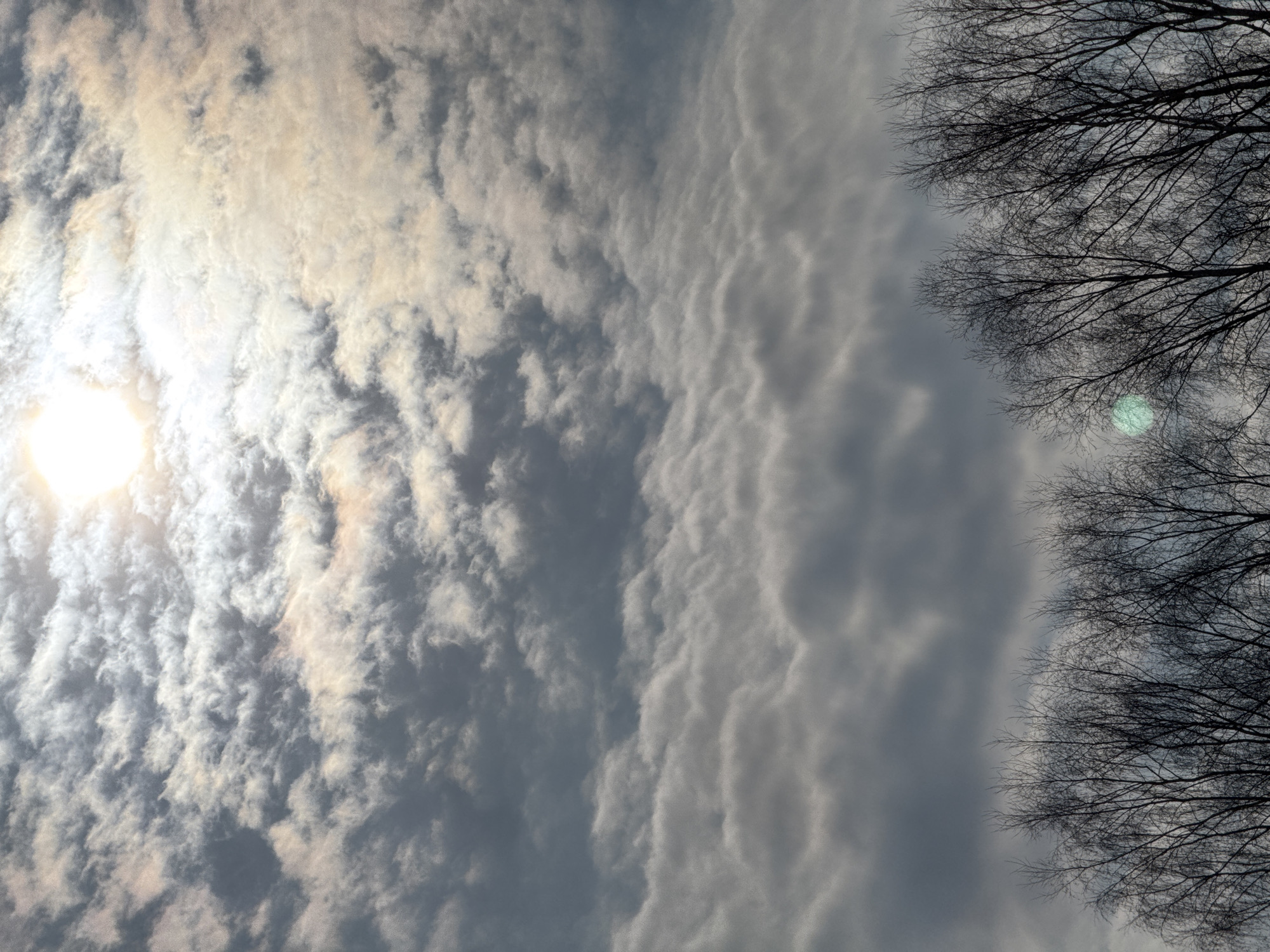 The image shows a sky view taken in daytime. The sun is visible on the left, partially obscured by clouds. The sky is filled with layers of gray and white clouds. On the right side of the image, there are bare tree branches with no leaves, indicating either winter or early spring. There is no indication of the location being in the city of Vassyata, Russia or any specific location. There are no people or subjects other than the natural elements.