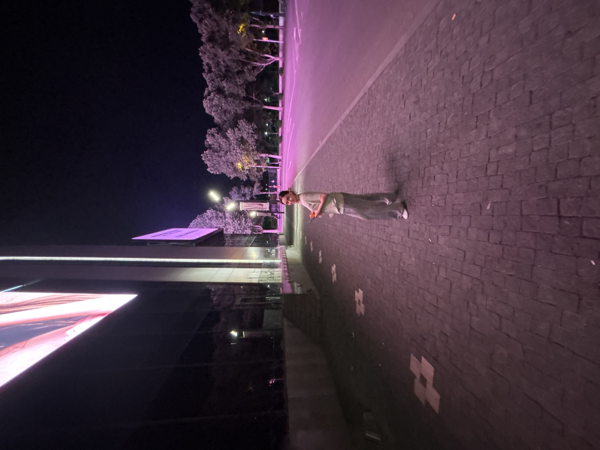 A young woman stands on a cobblestone sidewalk in front of a modern building with large glass windows at night. She is wearing a light green t-shirt and grey pants, holding a phone in her right hand and looking toward the camera with a slight smile. The building is illuminated by a large screen displaying bright pink and white imagery. The street adjacent to the sidewalk is bathed in a strong pink light, possibly from streetlights or a nearby installation. Trees with full canopies line the street in the background, and streetlights are visible. The sidewalk itself has subtle square patterns embedded in the cobblestones. The overall atmosphere is urban and illuminated by artificial light sources. This scene is likely located in the Vake district of Tbilisi, Georgia, known for its modern architecture and vibrant nightlife.