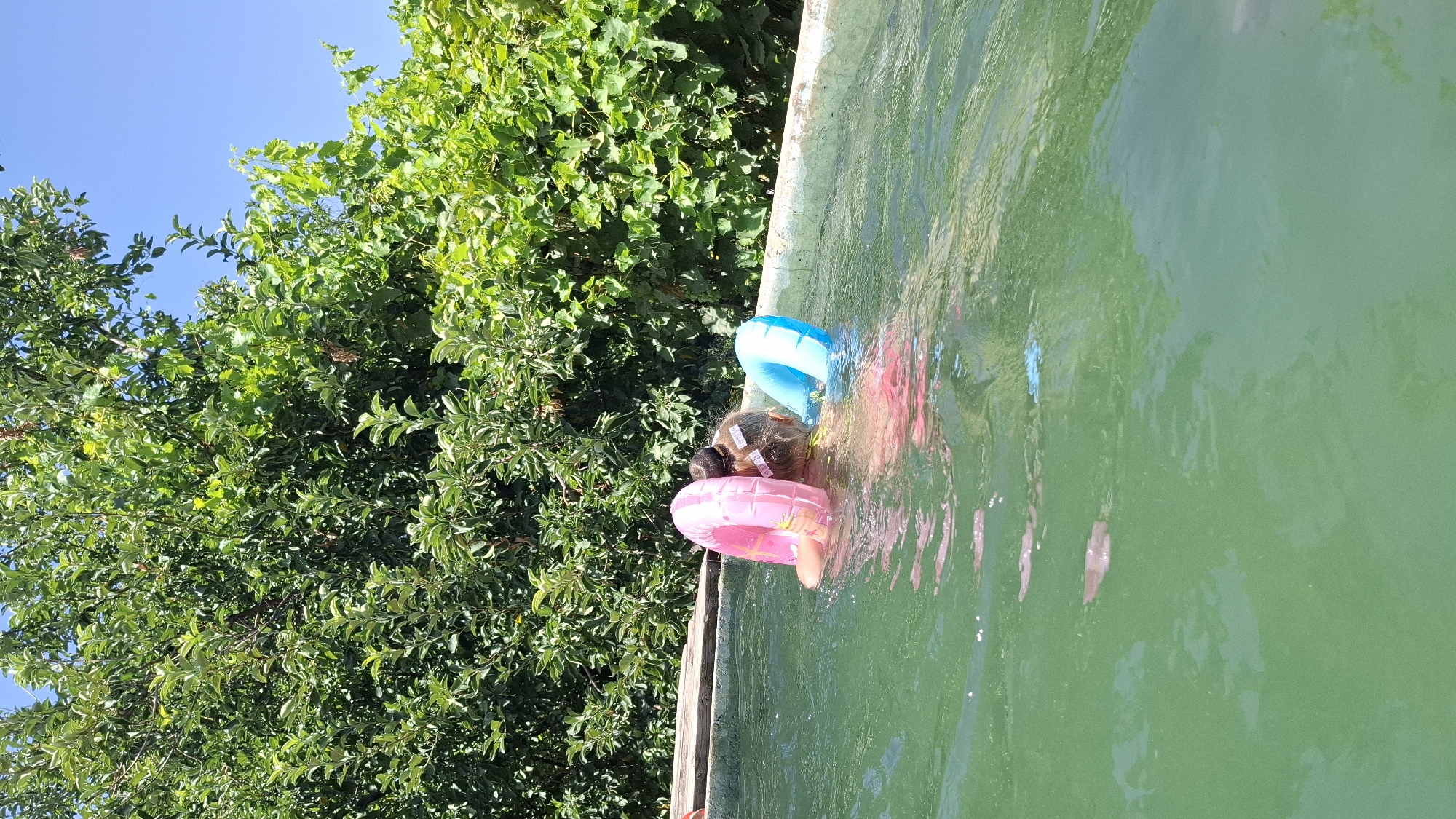 In a concrete swimming pool filled with green water, a child is submerged in the water, playing with two inflatable rings. One ring is pink and the other is blue. The child's head is down, facing the water, and their hair is pulled back. Lush green trees and vegetation surround the pool, with a clear blue sky visible above. The pool appears to be in an outdoor setting, likely a residential area in Шұбарсу, Kazakhstan, given the natural elements present.
