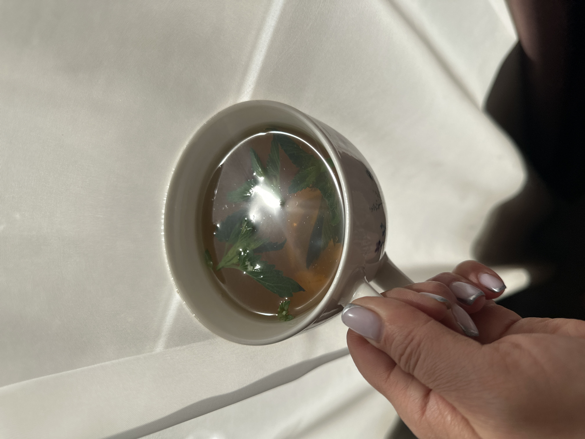 A top-down shot captures a hand holding a mug filled with a brownish liquid and green leafy herbs, likely tea. The mug is white with a handle and appears to have a floral design on it. The hand has manicured nails, painted with a light color and silver tips. The mug sits on a white fabric surface with creases and folds, suggesting a cloth or sheet. The lighting is bright, with a light source creating a glare on the liquid in the mug. The location is unknown and cannot be identified as the city of Chaikovsky, Russia, without additional information or context.