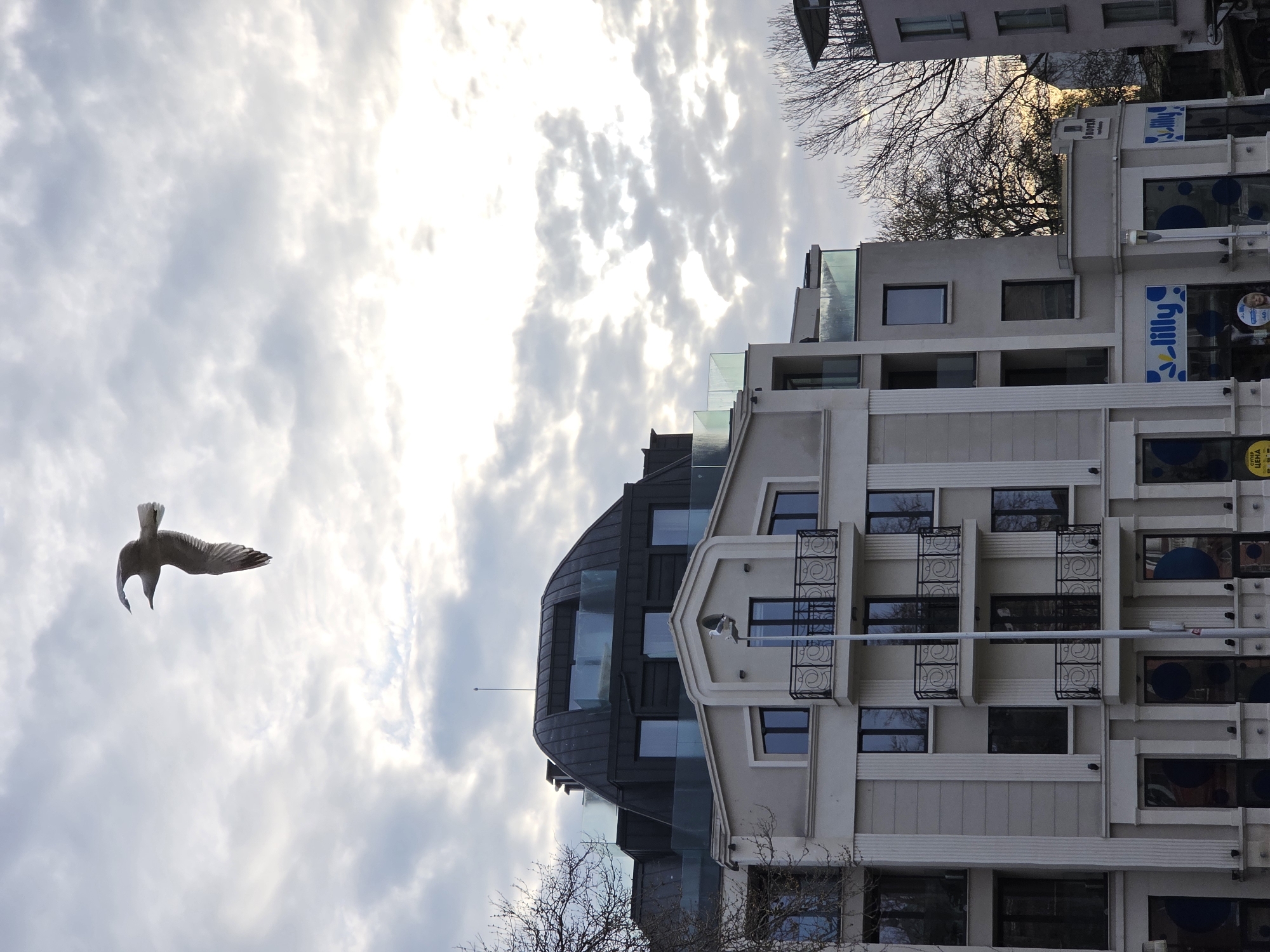 A bird flies in front of a building in Varna, Bulgaria. The sky is filled with light grey and white clouds. The building is a multi-story structure with a mix of modern and traditional architectural elements. A portion of the building has a rounded, dark-colored roof with glass panels. The rest of the building is white or light gray with geometric windows. A sign with the word "lilly" is affixed to the building. Bare tree branches are visible in front of the building.
