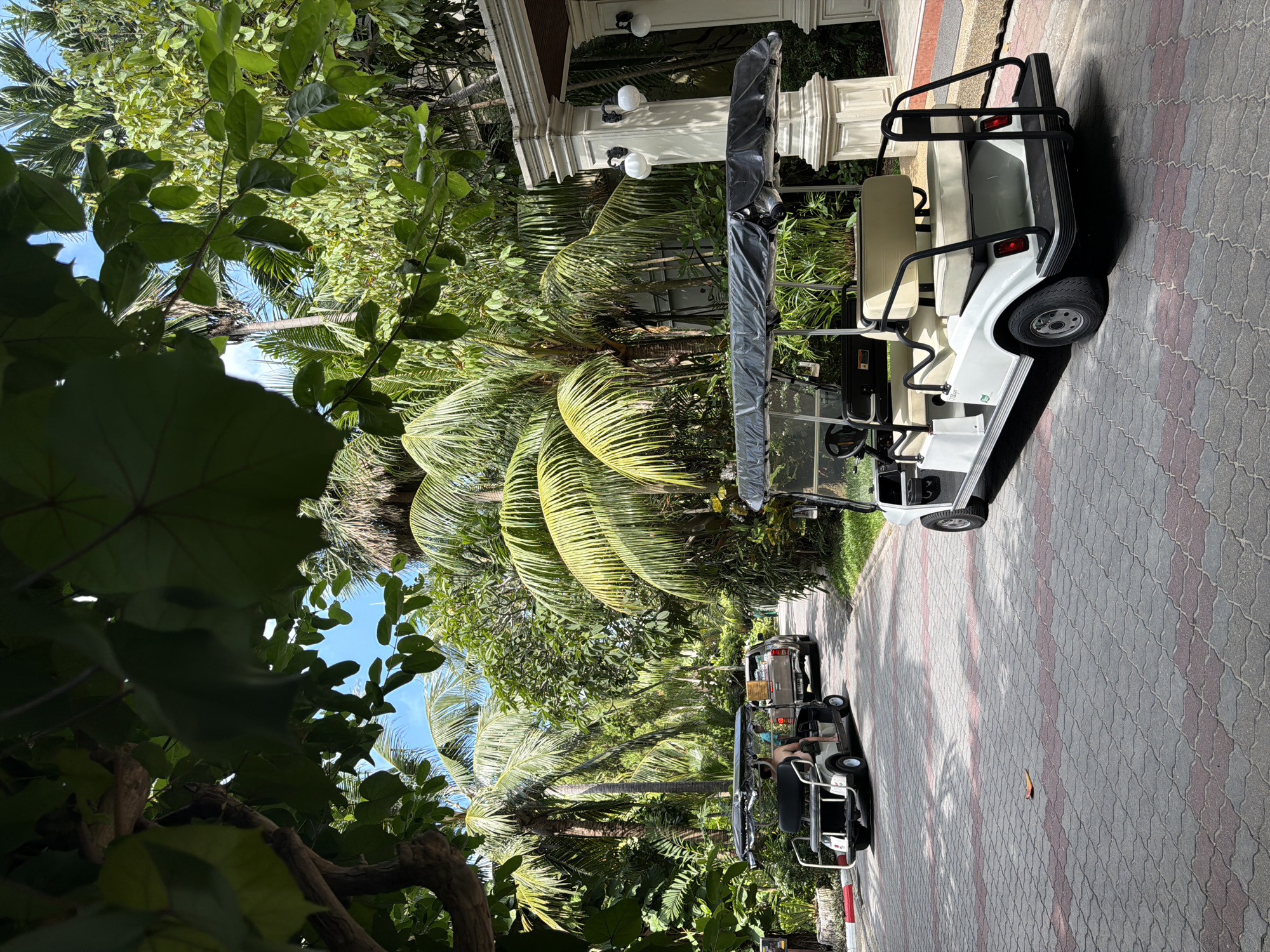 A white golf cart with a black canopy is parked on a paved pathway lined with palm trees and lush greenery. In the background, another golf cart and a pickup truck are visible on the same pathway. The scene appears to be within a resort or residential complex in Ko Samui District, Thailand, given the tropical vegetation and architectural style. The sky is clear and blue, suggesting a sunny day. The pathway is made of interlocking pavers in a pattern of red and gray.