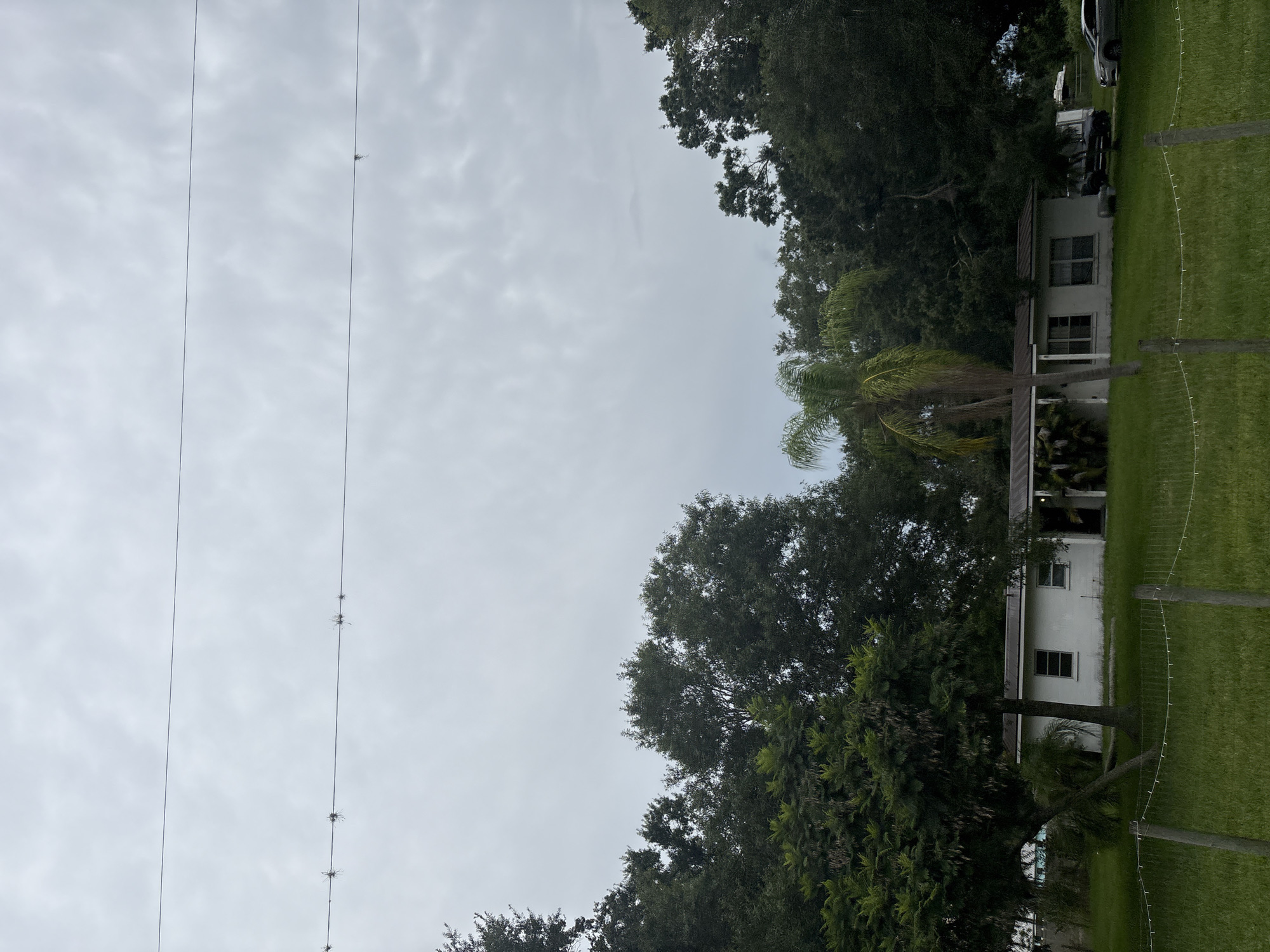 The image depicts a ranch-style house with white siding and a dark metal roof, situated amidst lush green trees and a well-maintained lawn. The house features two prominent windows on its facade and a covered porch area. A wire fence runs along the foreground, separating the lawn from what appears to be a road or a more open area.
Behind the house, a variety of mature trees create a dense canopy, including what appears to be a palm tree with its fronds reaching towards the sky. The sky above is overcast, with a soft, diffused light illuminating the scene. Two vehicles are visible parked in front of the house: a dark-colored SUV and a silver sedan. There are no individuals visible in the image.
The scene is consistent with a residential property in a suburban or semi-rural area. While specific landmarks for Bradenton, United States are not identifiable within the frame, the overall aesthetic suggests a typical American residential setting.